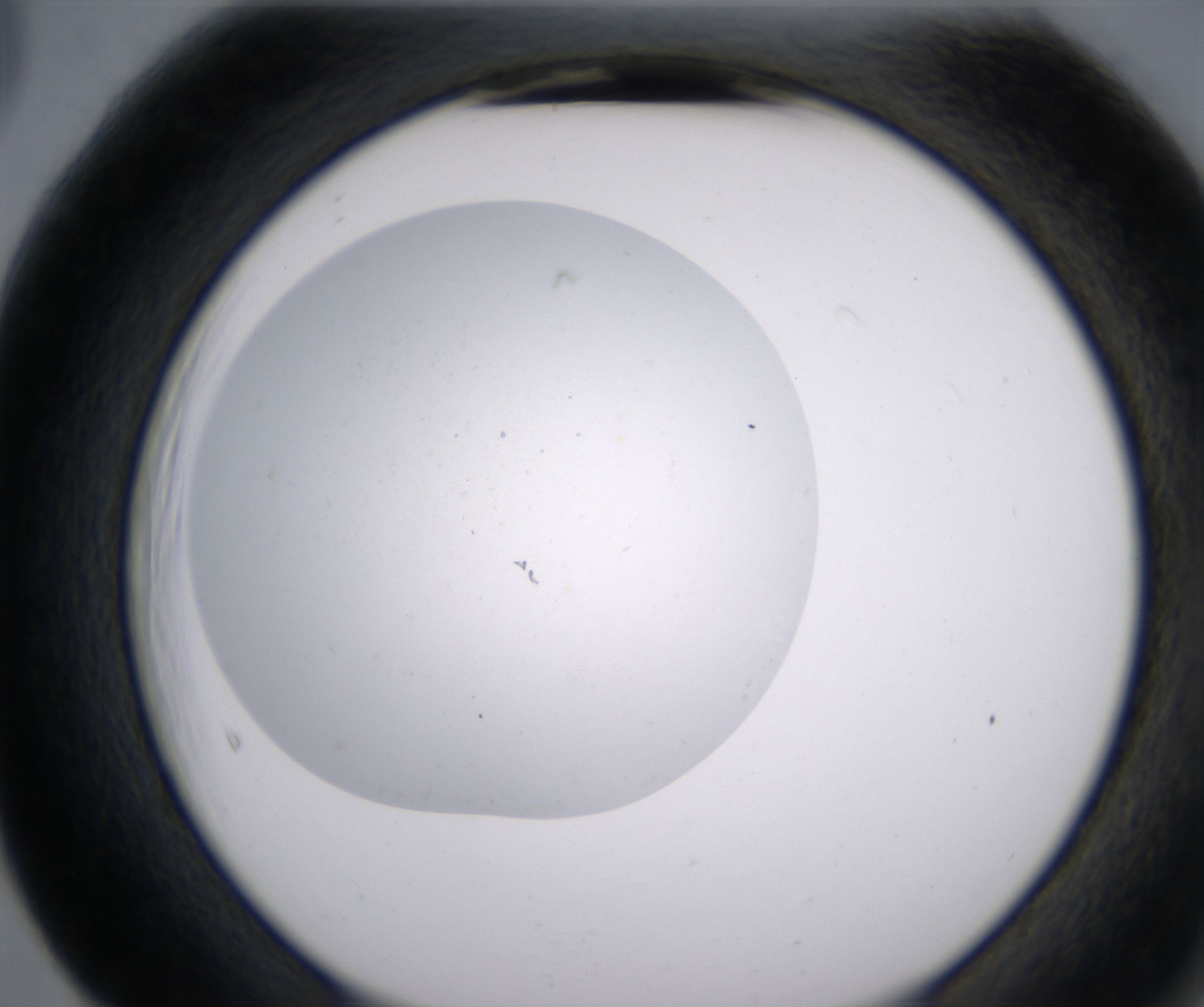 F5_HighResolution_Clear_2.jpg