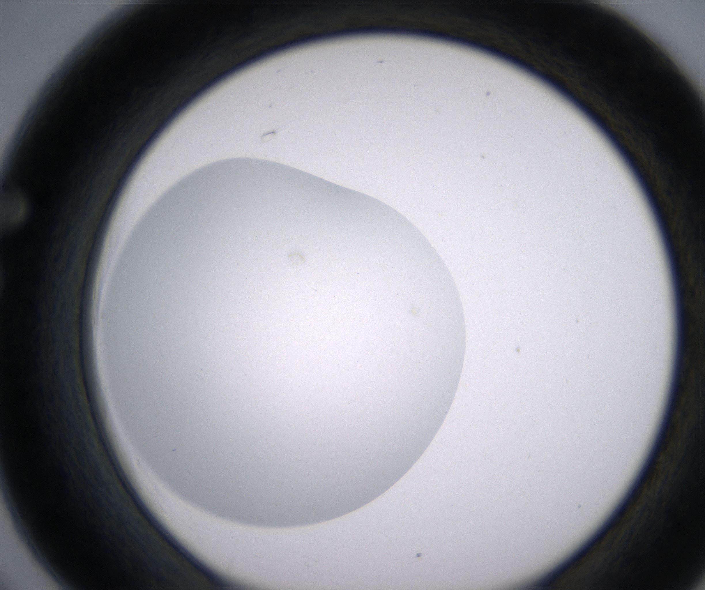F6_HighResolution_Clear_1.jpg