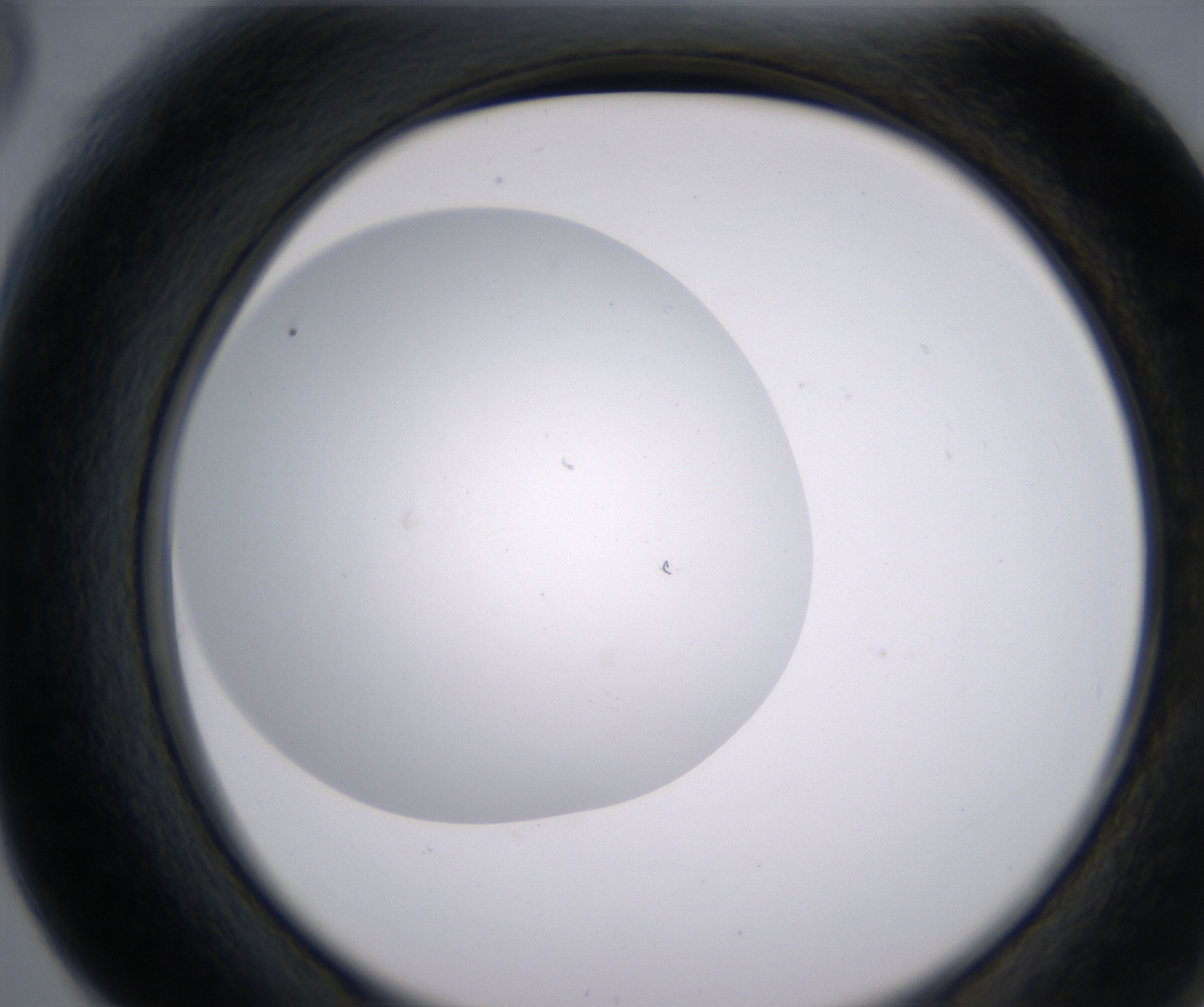 F6_HighResolution_Clear_2.jpg
