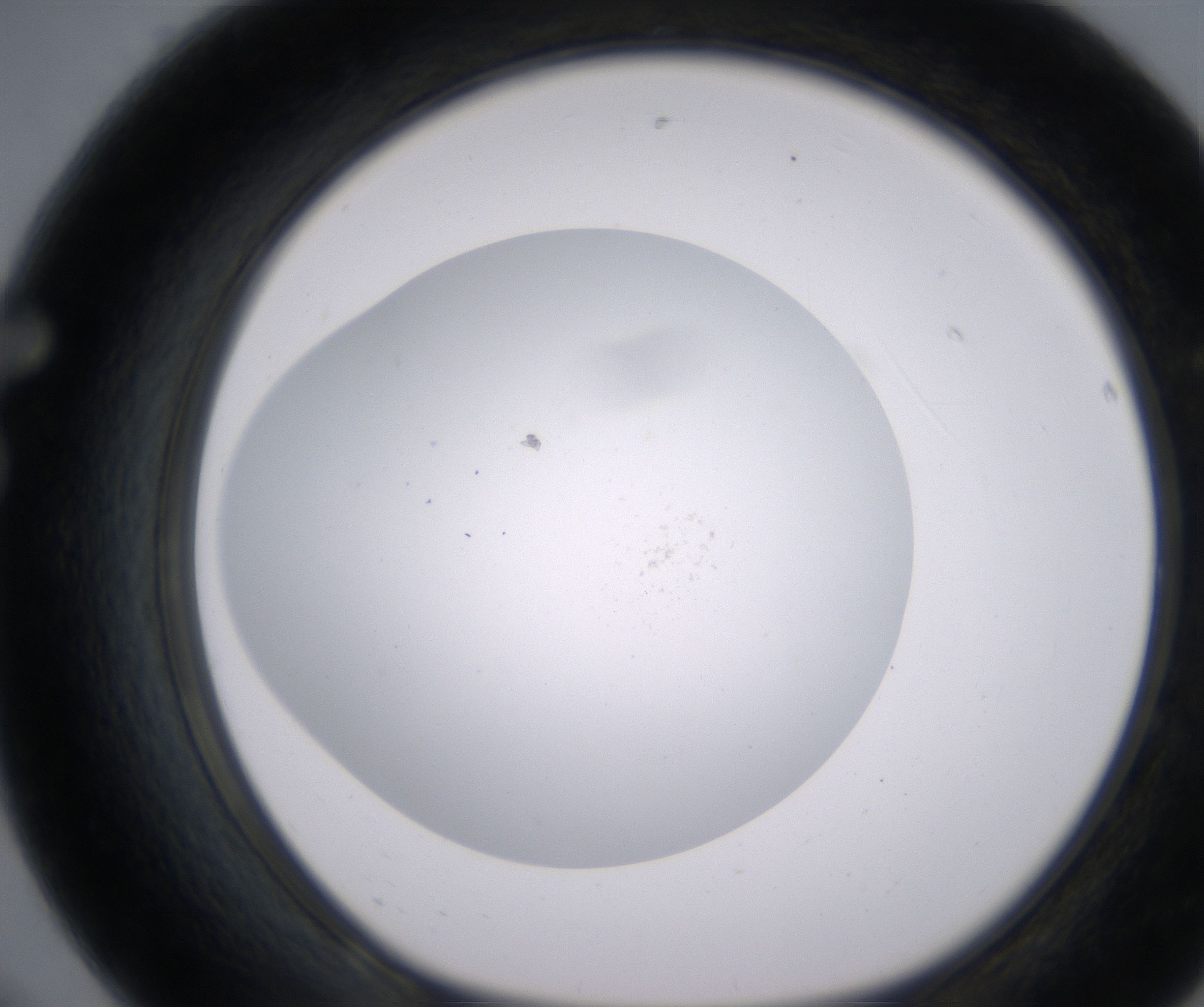 F8_HighResolution_Clear_1.jpg