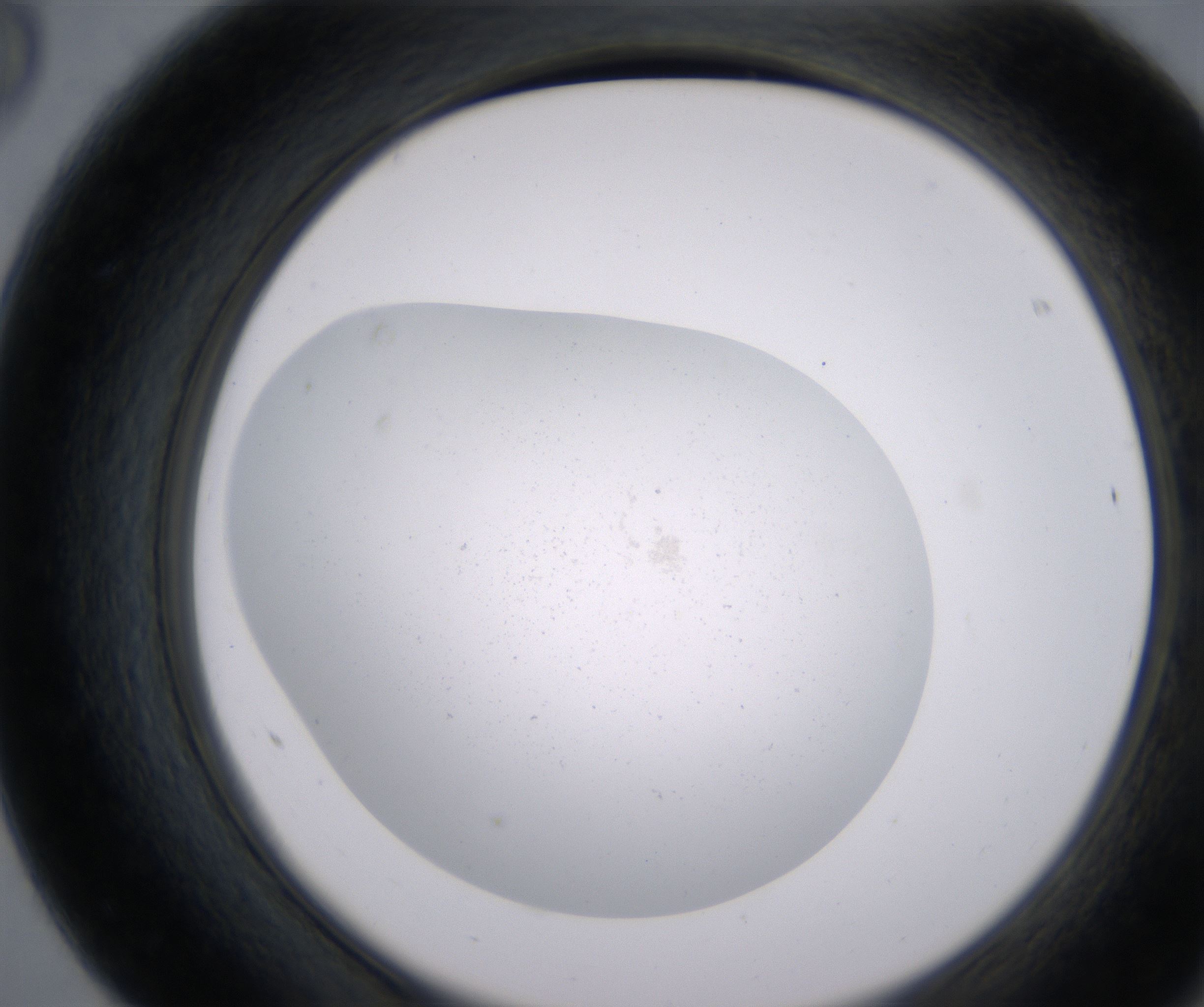 F8_HighResolution_Precipitate_2.jpg