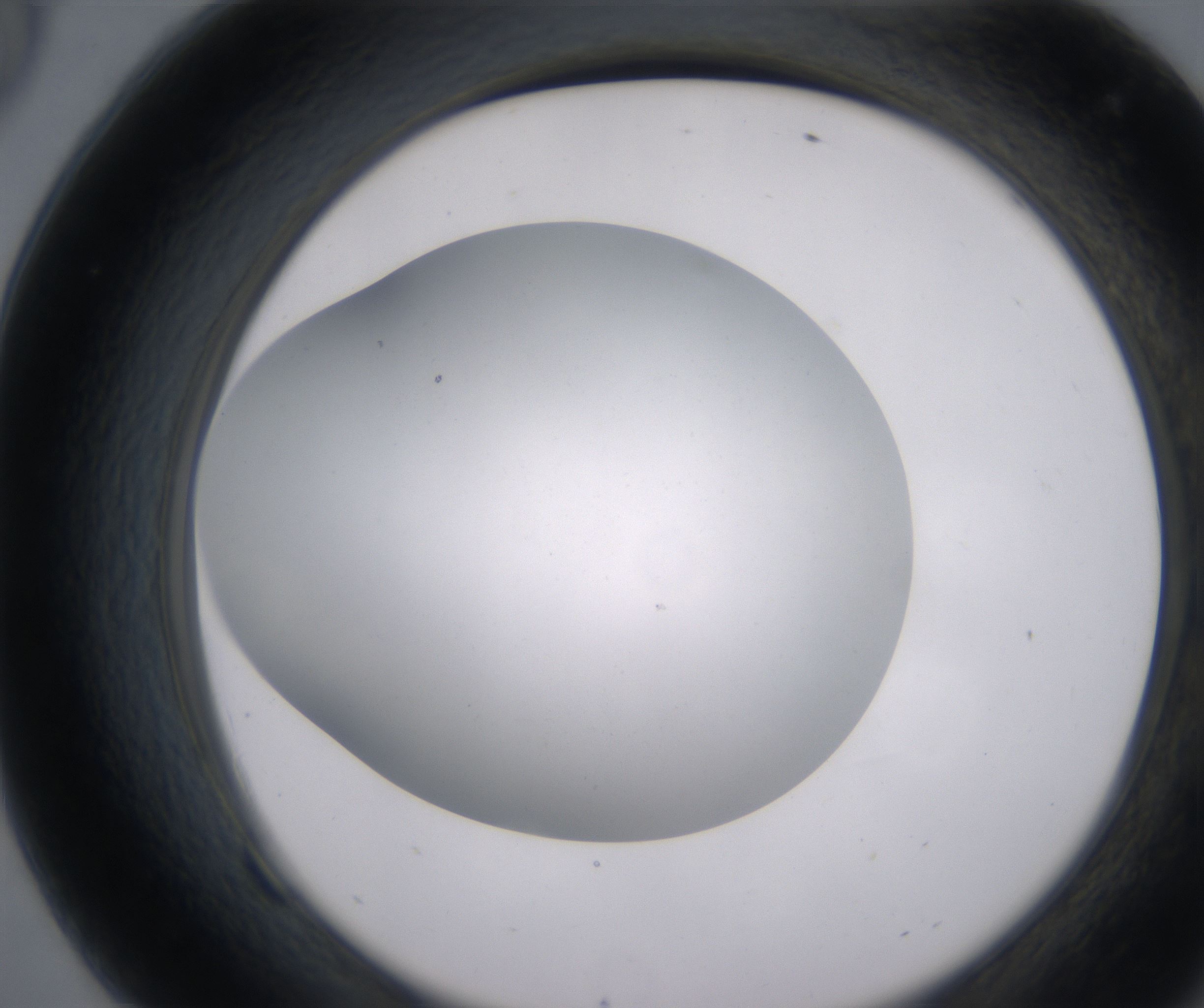 F9_HighResolution_Clear_2.jpg