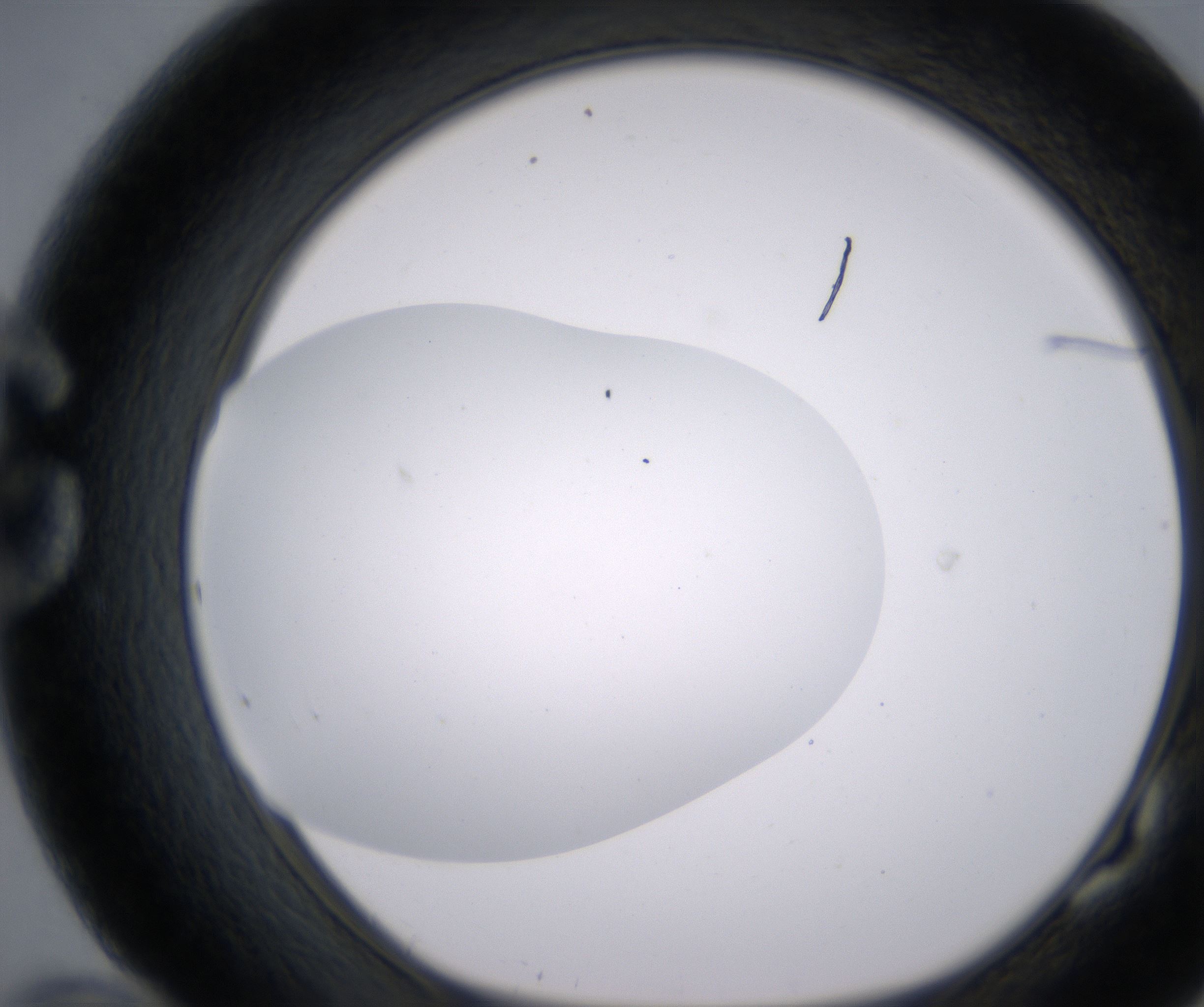 G10_HighResolution_Clear_1.jpg