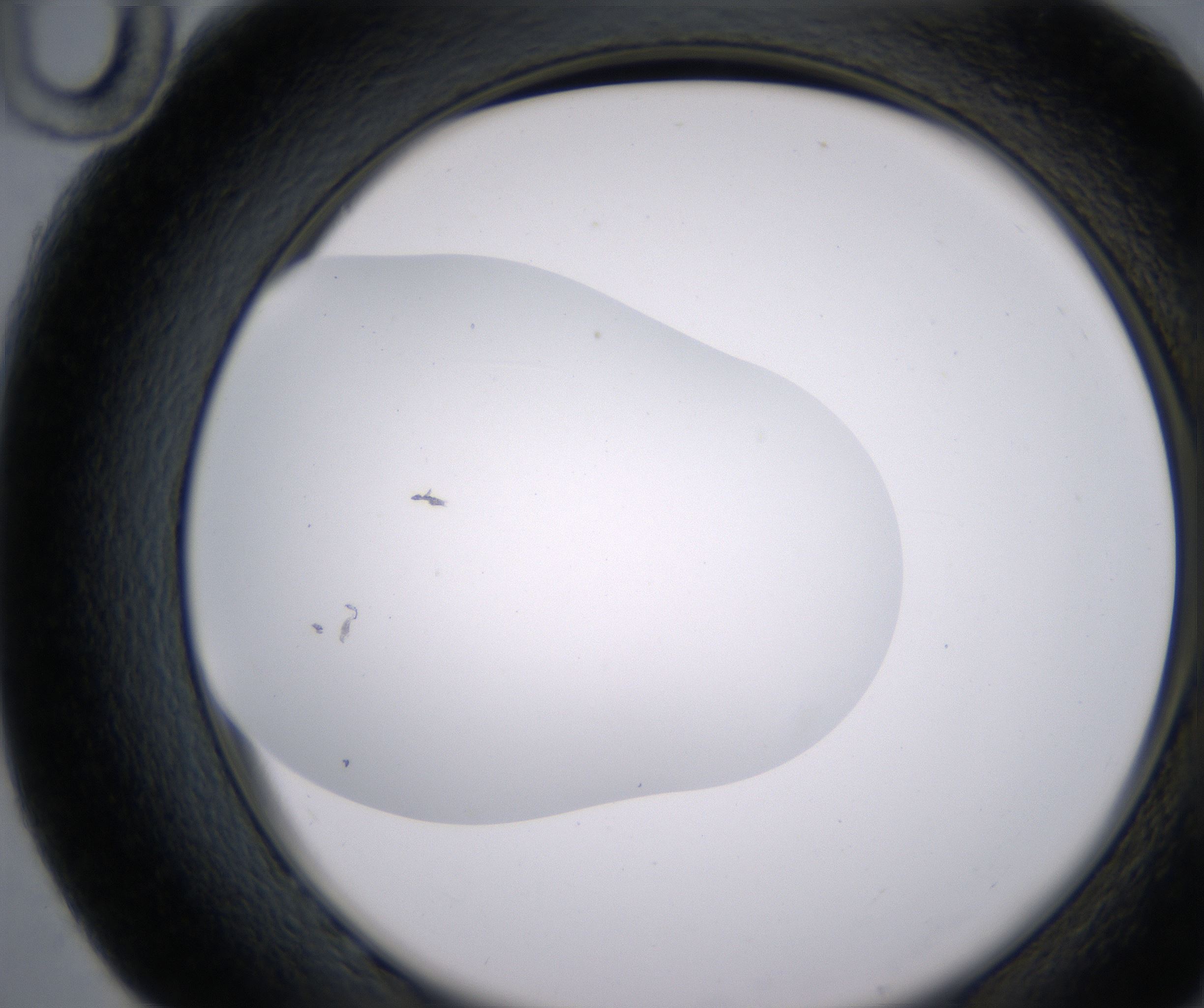 G10_HighResolution_Clear_2.jpg