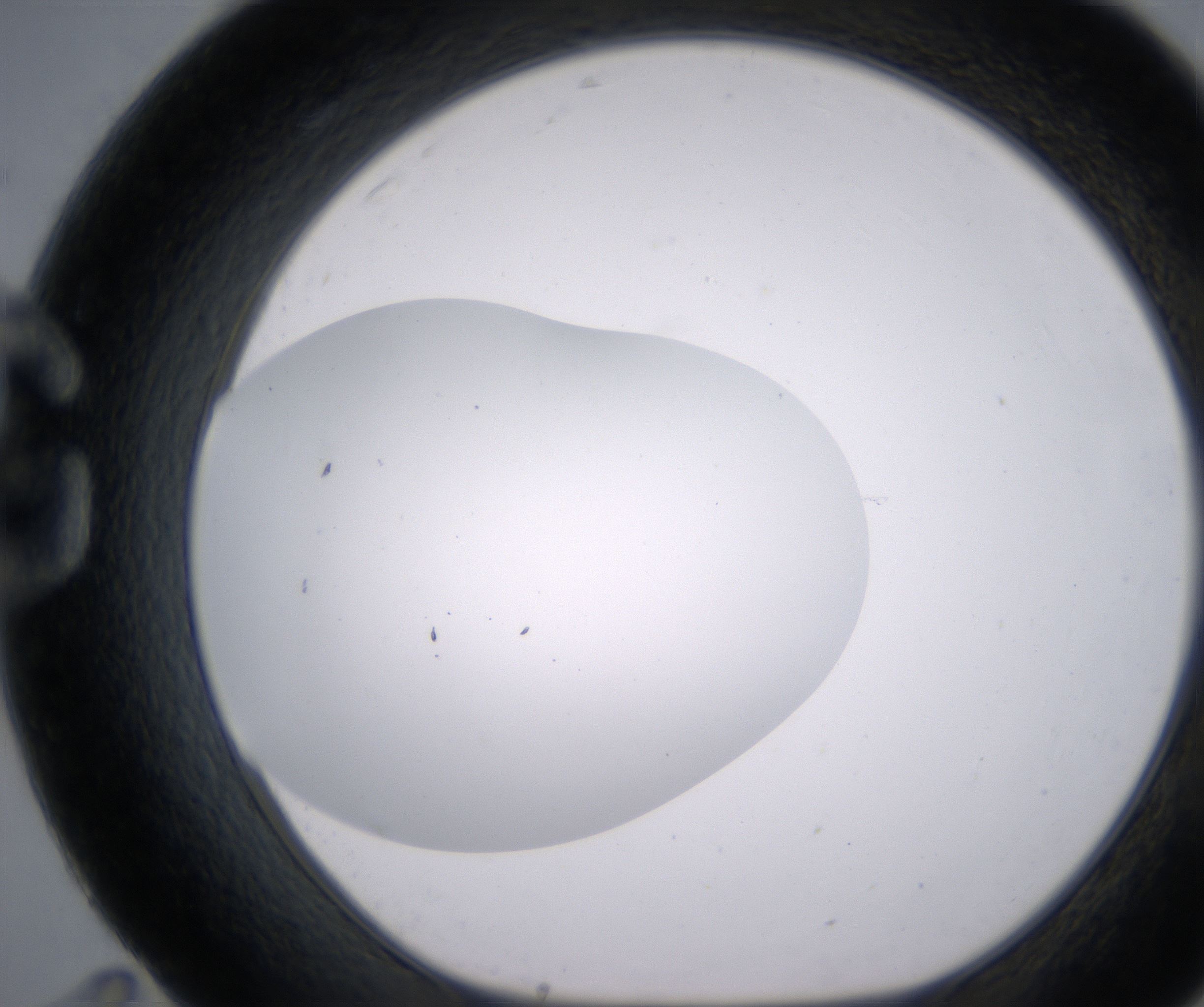 G11_HighResolution_Clear_1.jpg