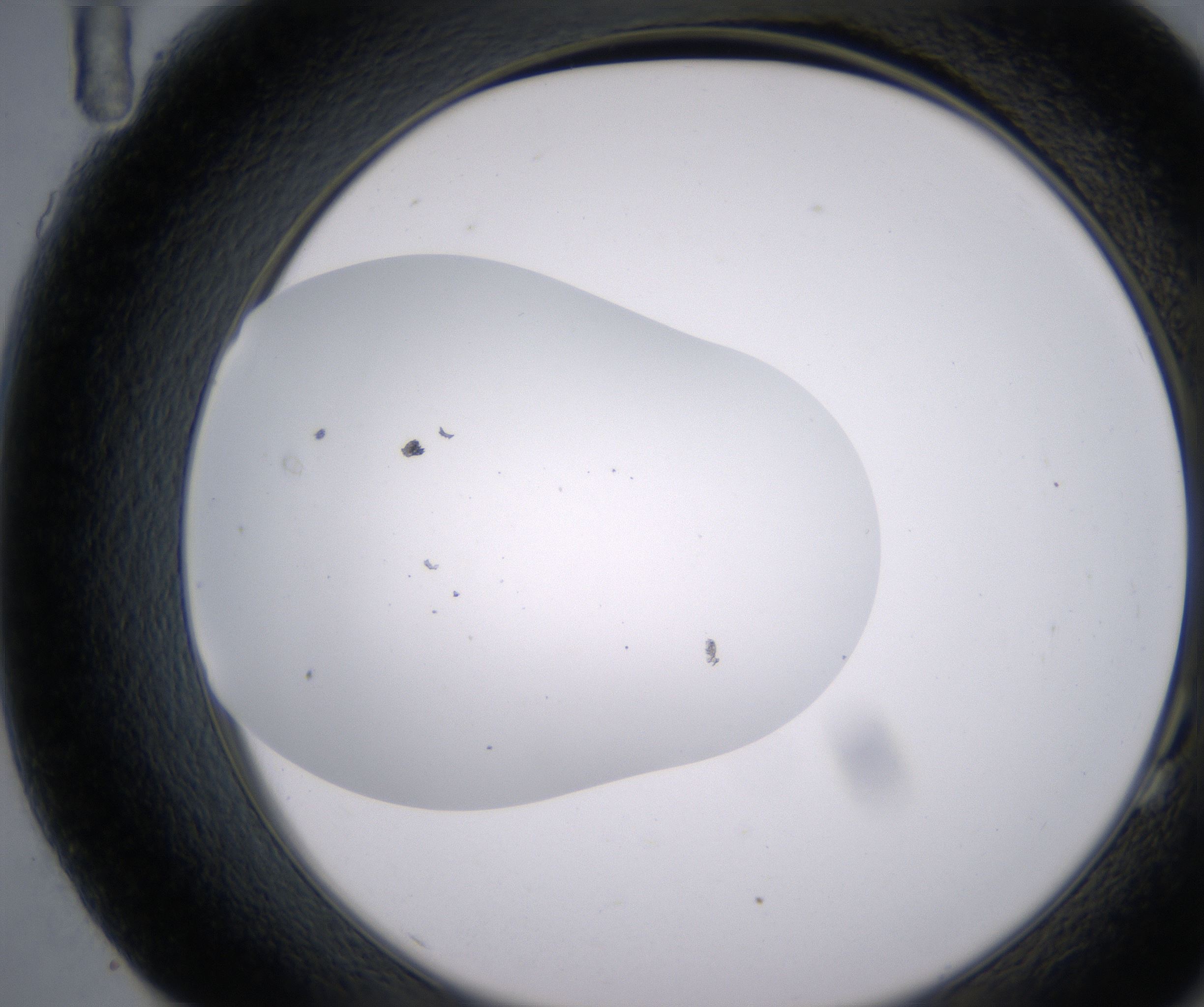 G11_HighResolution_Clear_2.jpg
