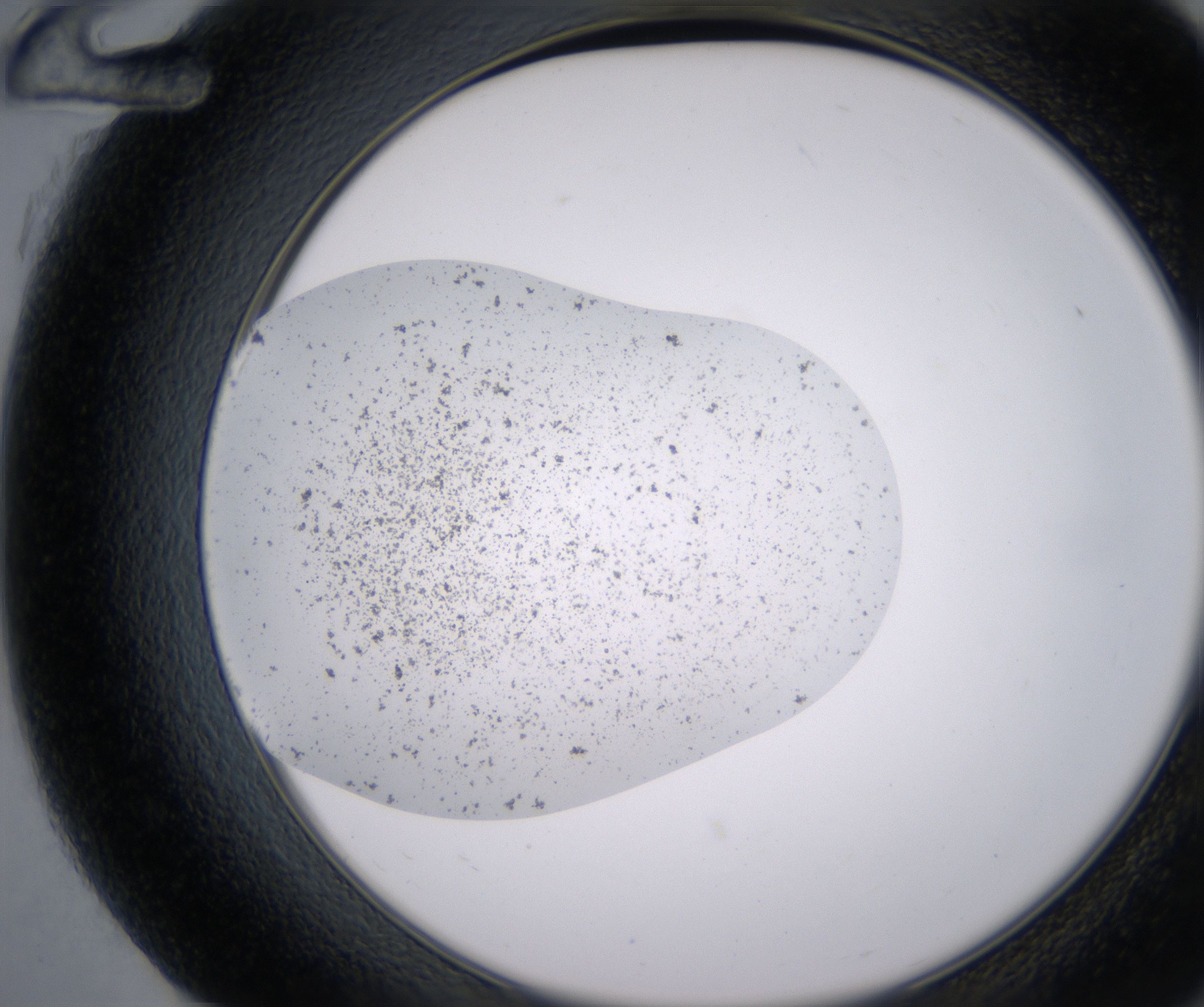 G12_HighResolution_Precipitate_2.jpg