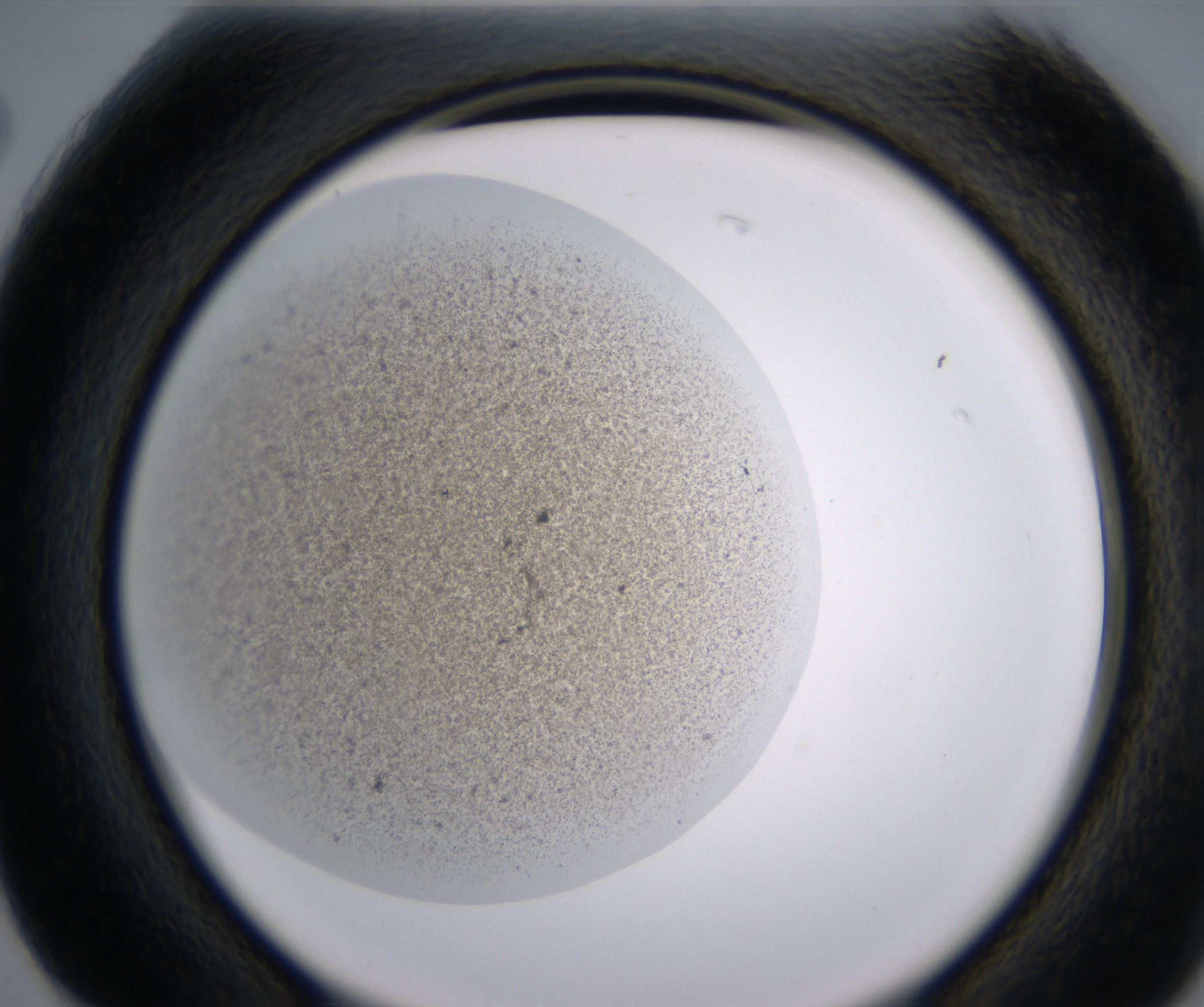 G2_HighResolution_Precipitate_2.jpg