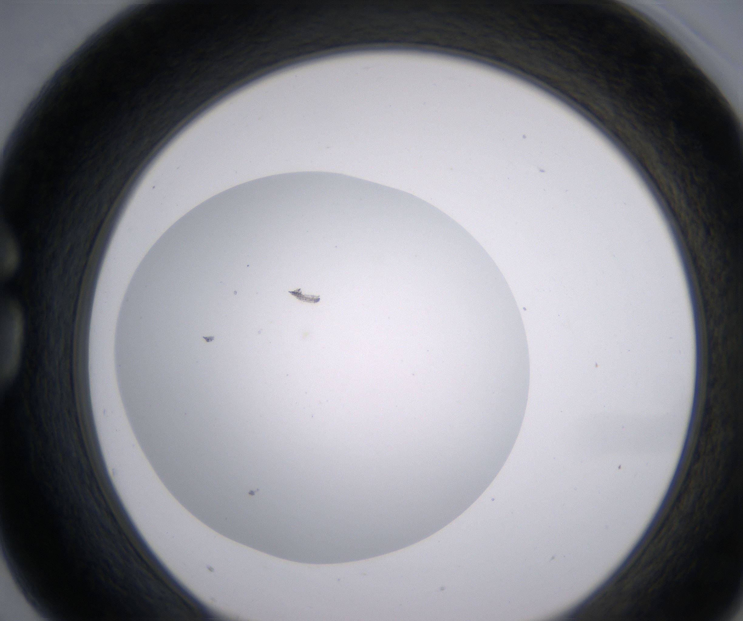 G3_HighResolution_Clear_1.jpg