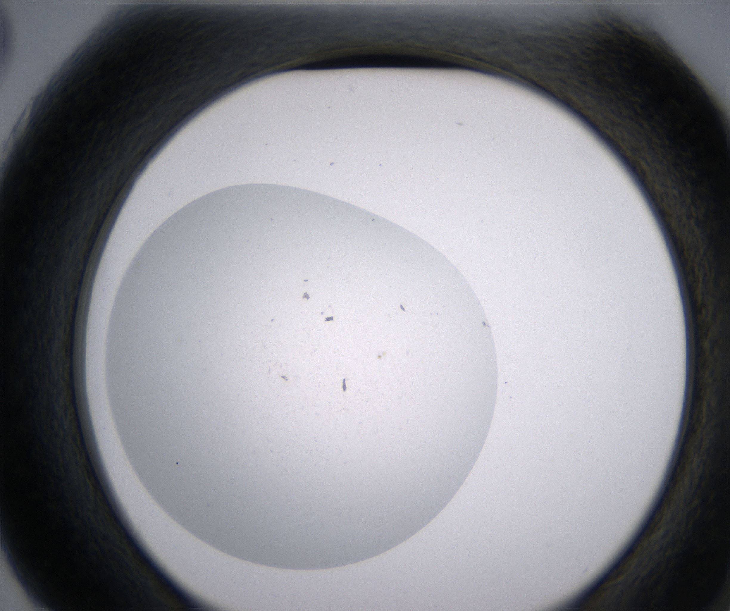 G3_HighResolution_Precipitate_2.jpg