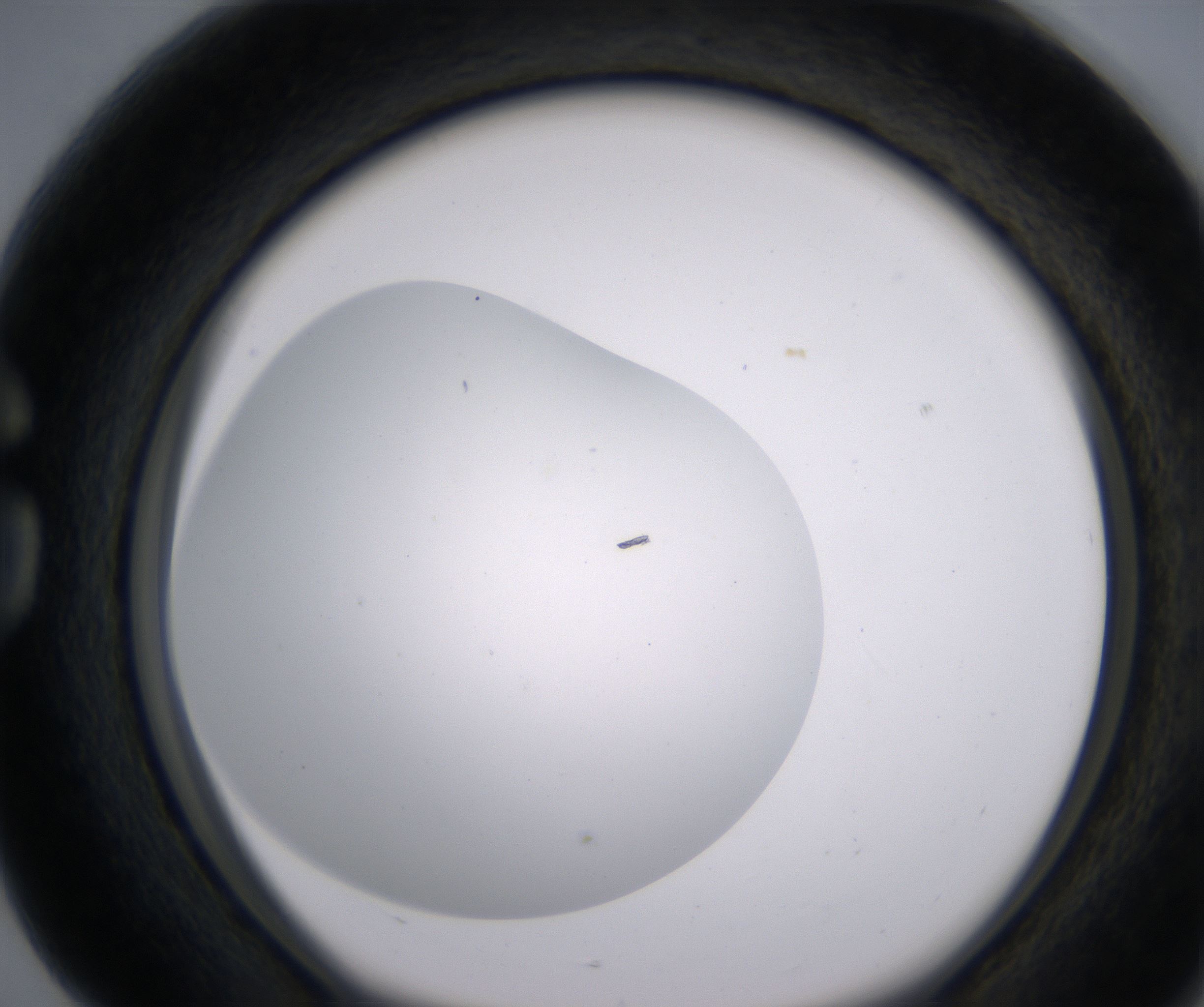 G4_HighResolution_Clear_1.jpg