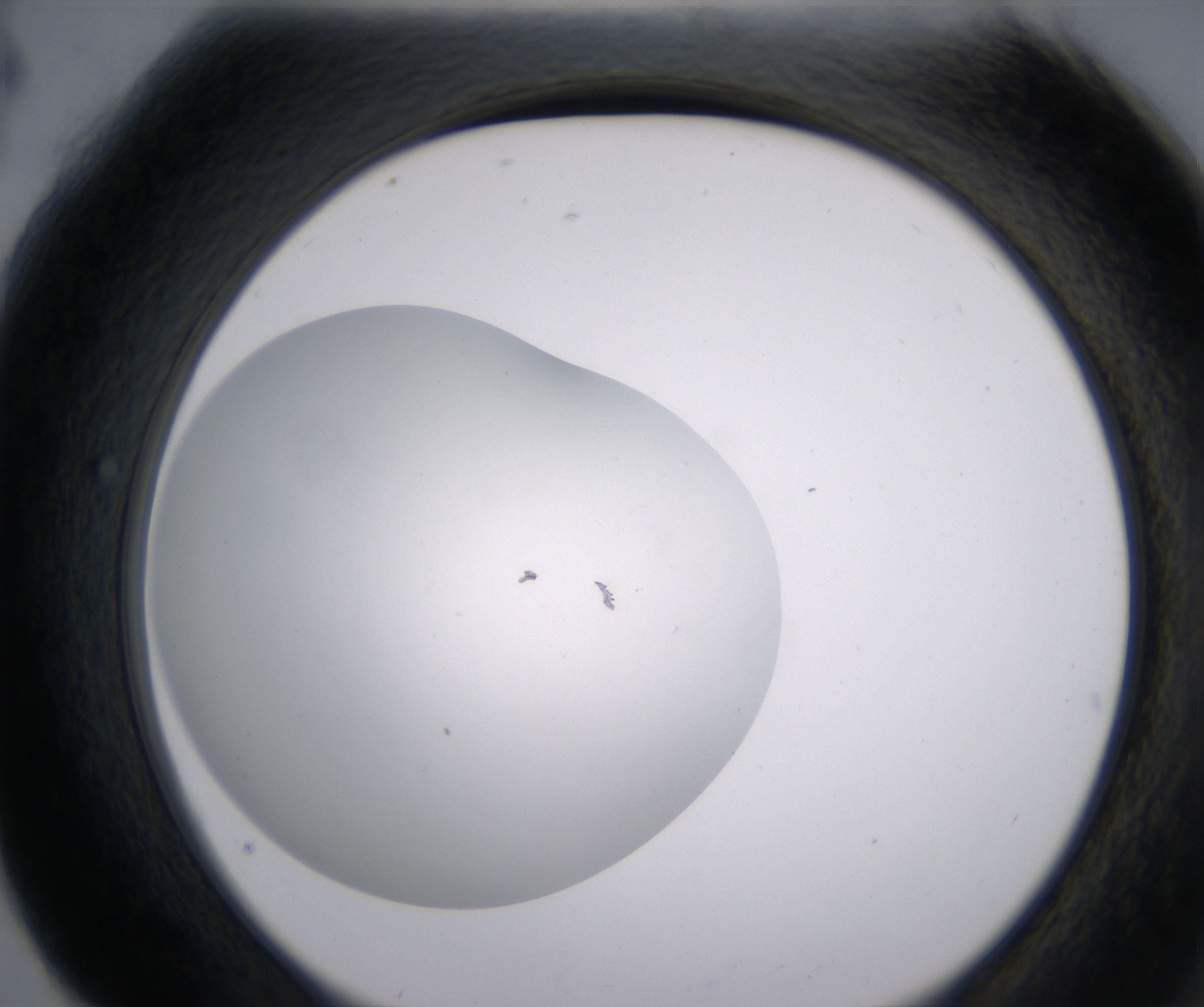 G4_HighResolution_Clear_2.jpg