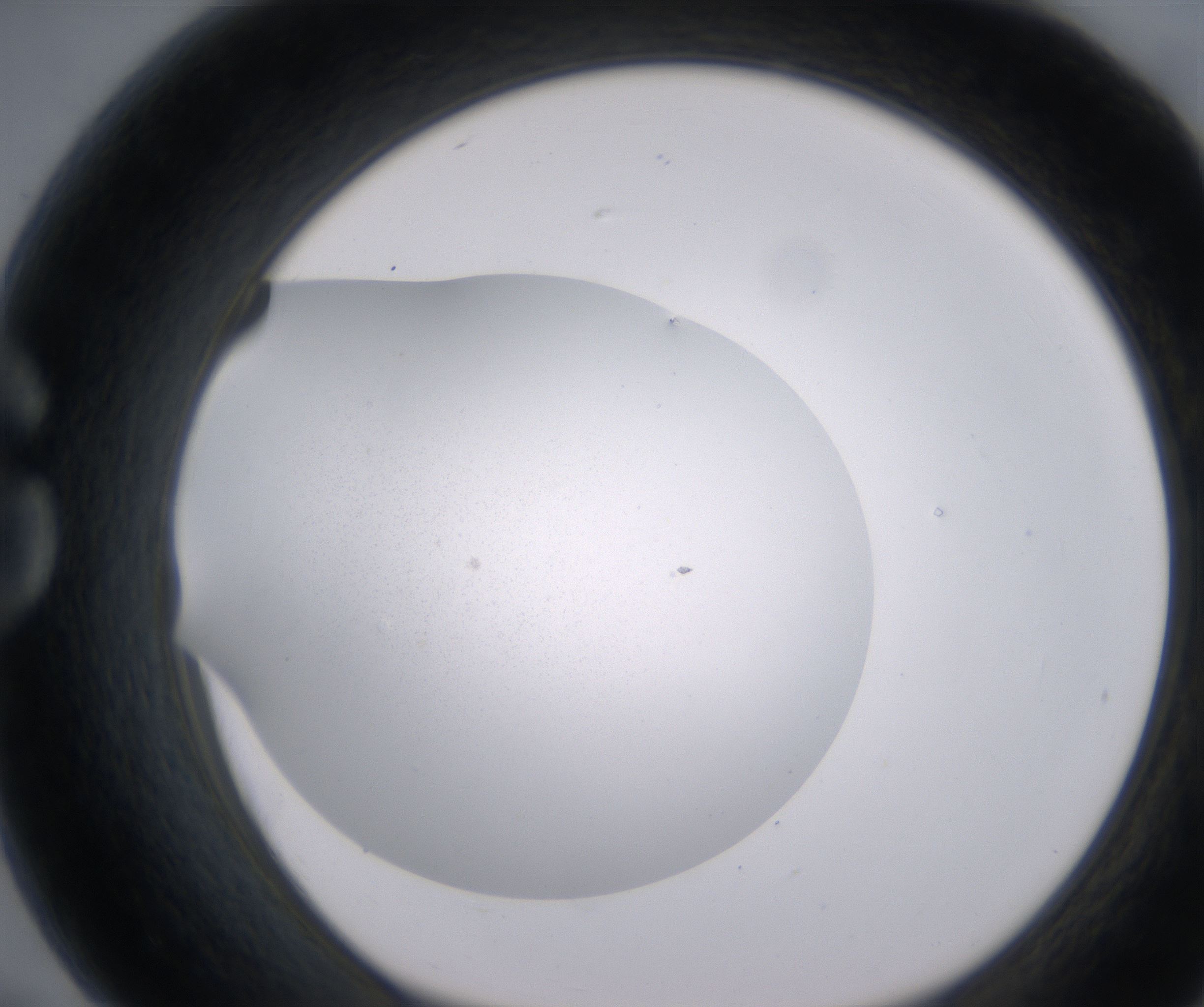 G7_HighResolution_Precipitate_1.jpg