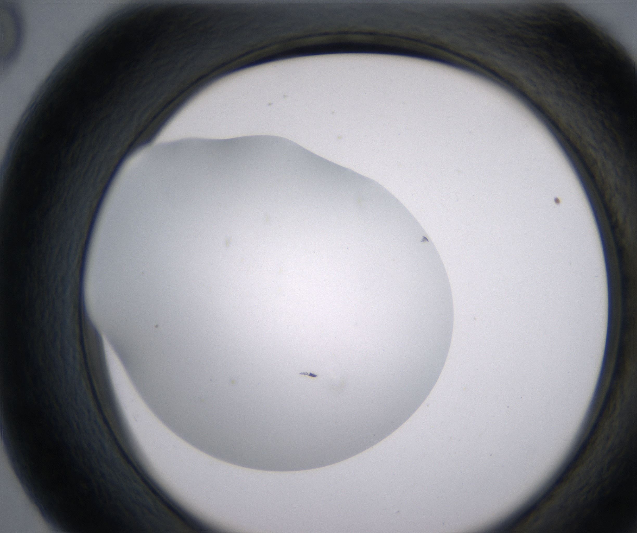 G8_HighResolution_Clear_2.jpg