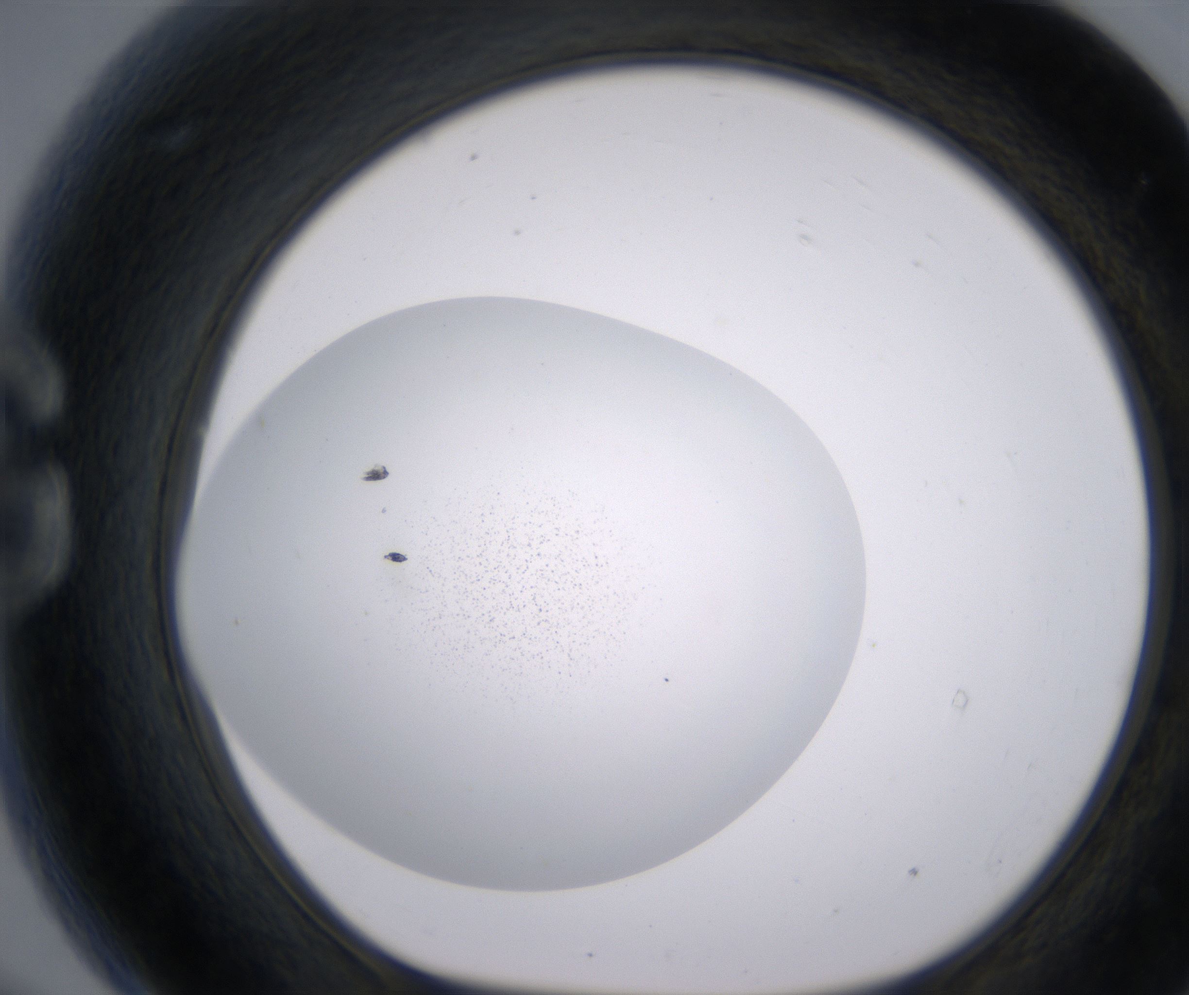 G9_HighResolution_Precipitate_1.jpg
