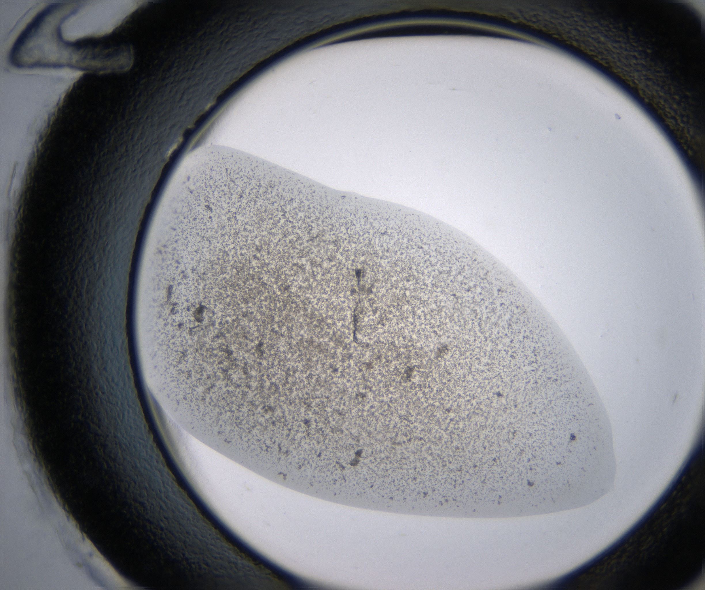H12_HighResolution_Precipitate_2.jpg