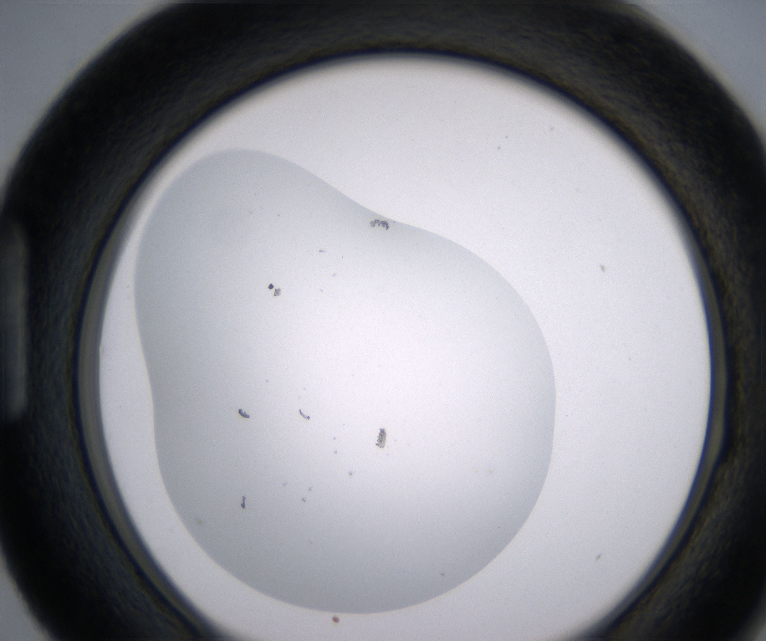 H3_HighResolution_Clear_1.jpg