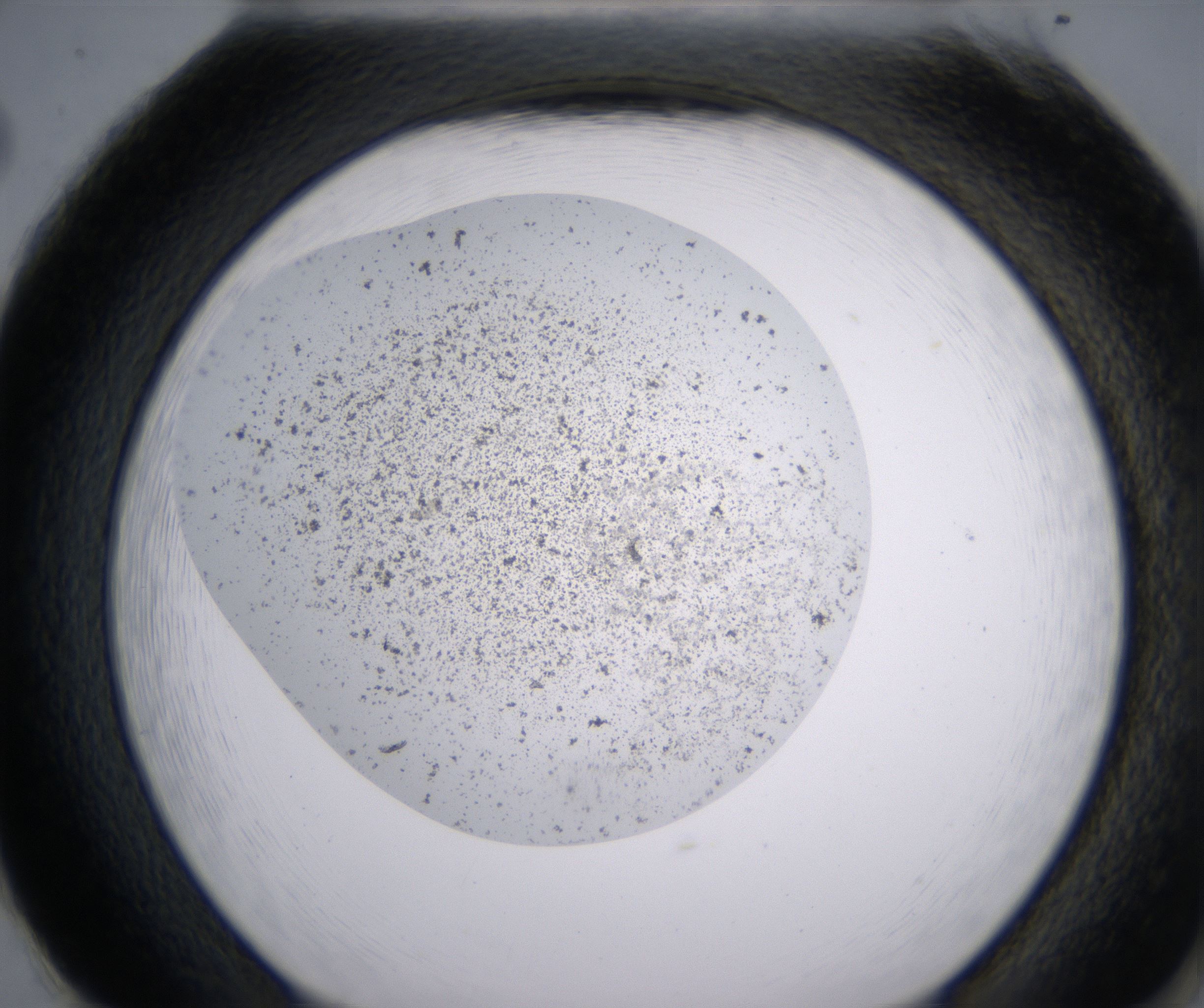 H2_HighResolution_Precipitate_2.jpg