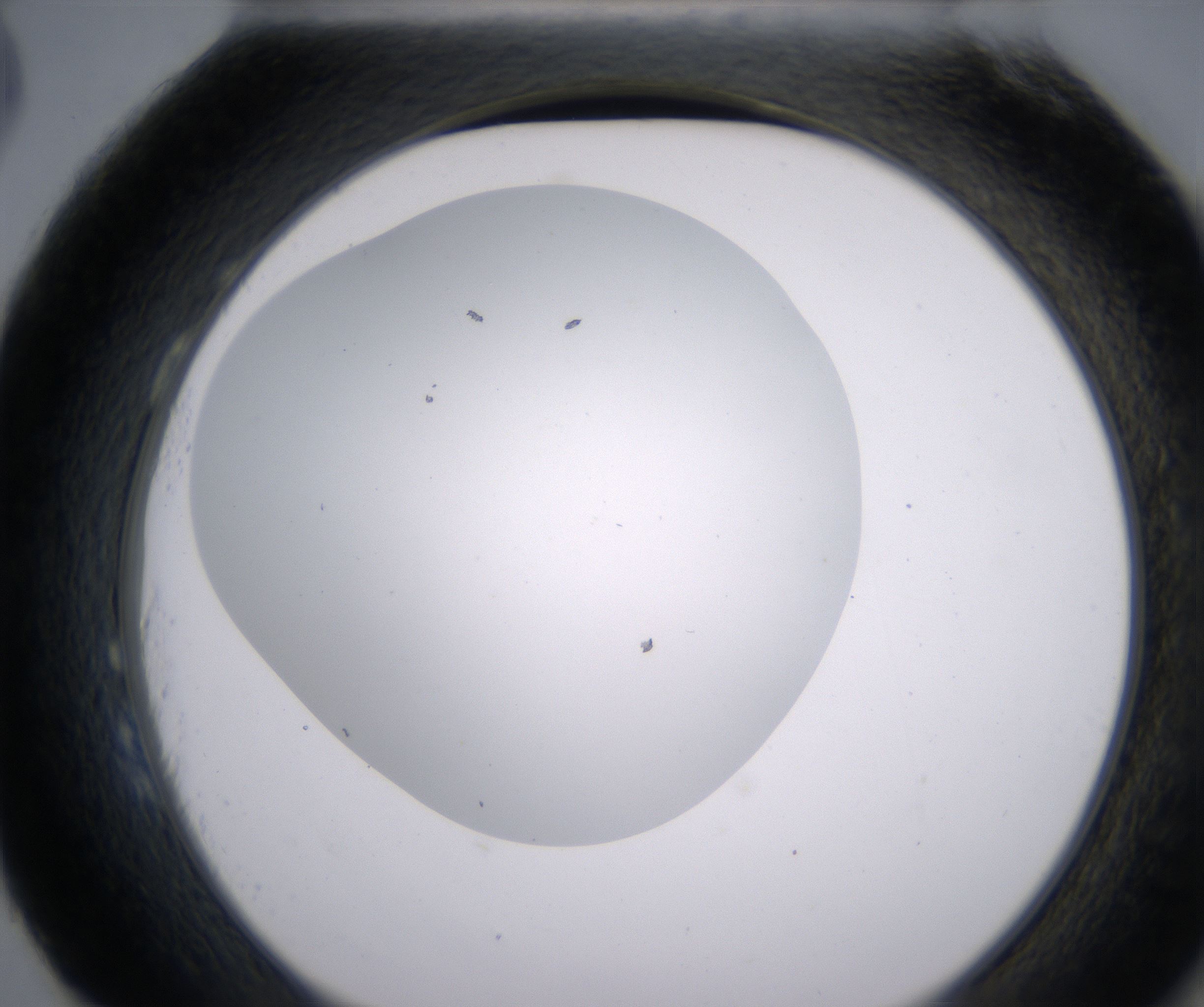 H3_HighResolution_Clear_2.jpg