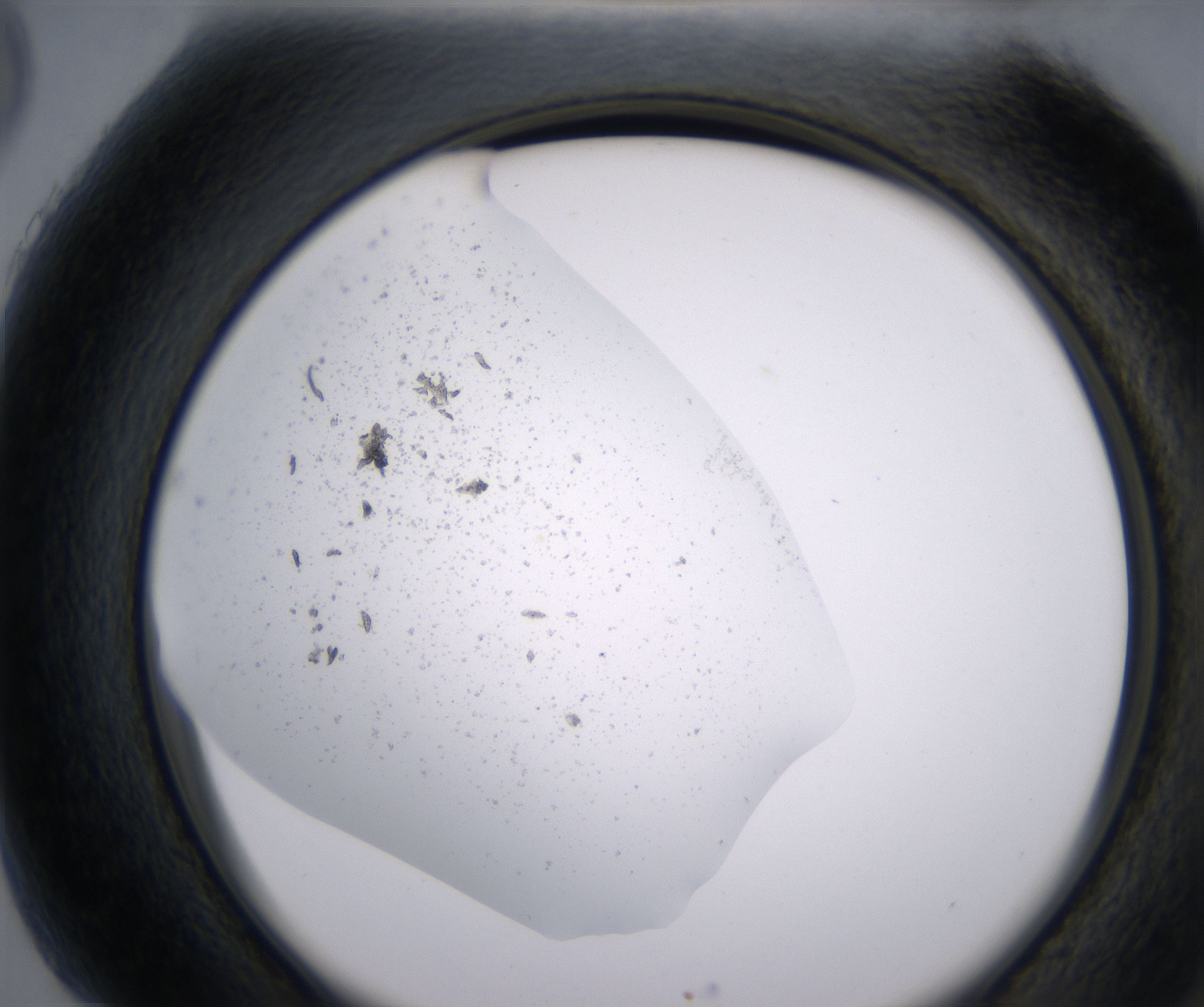 H5_HighResolution_Precipitate_2.jpg
