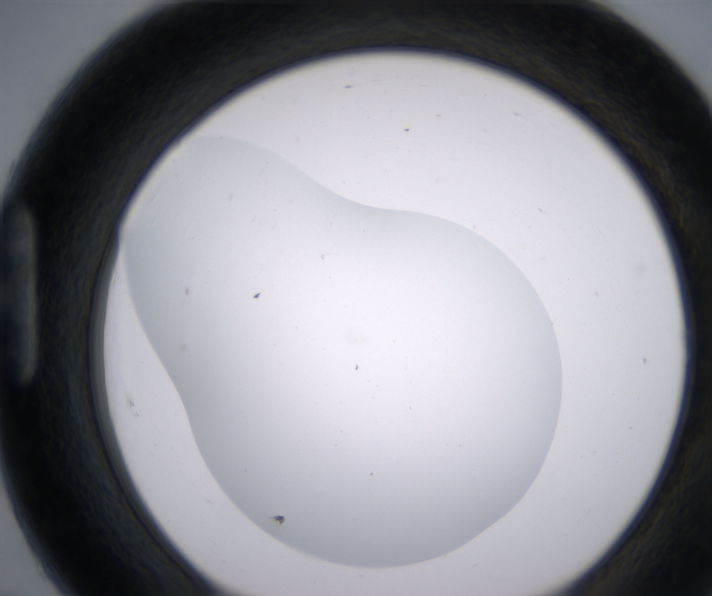 H7_HighResolution_Clear_1.jpg