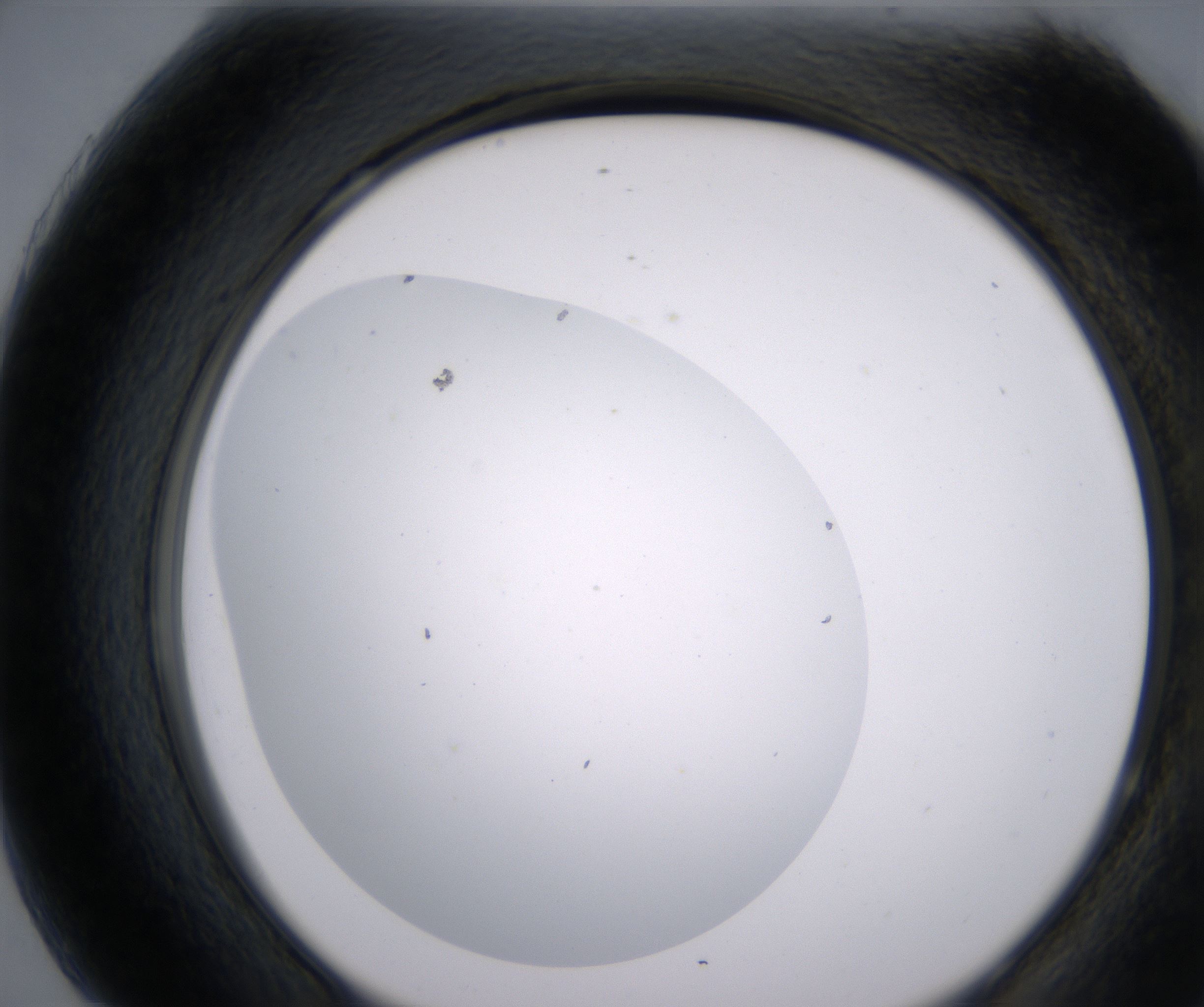 H7_HighResolution_Clear_2.jpg