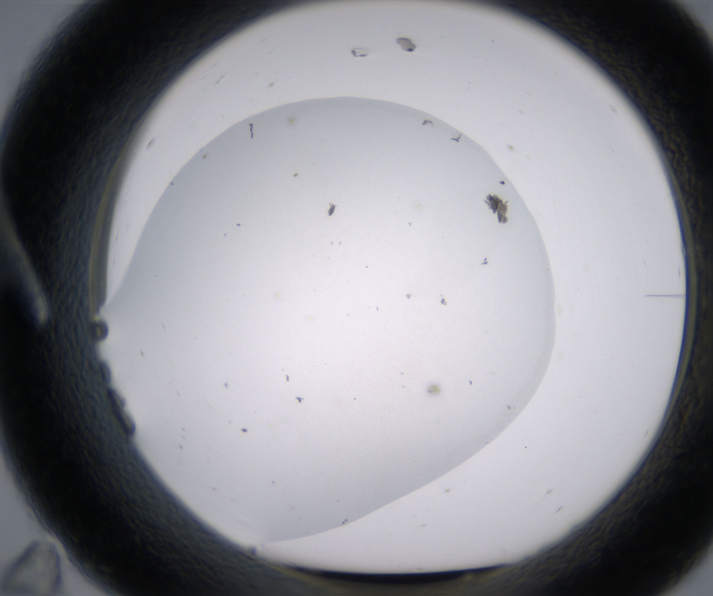 A11_HighResolution_Precipitate_1.jpg