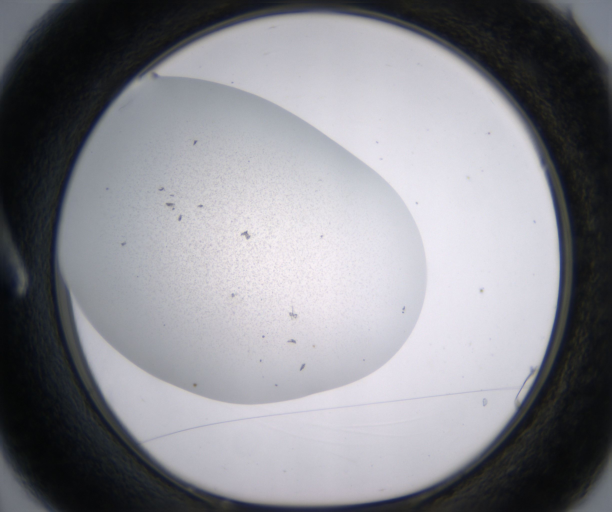 A3_HighResolution_Precipitate_1.jpg
