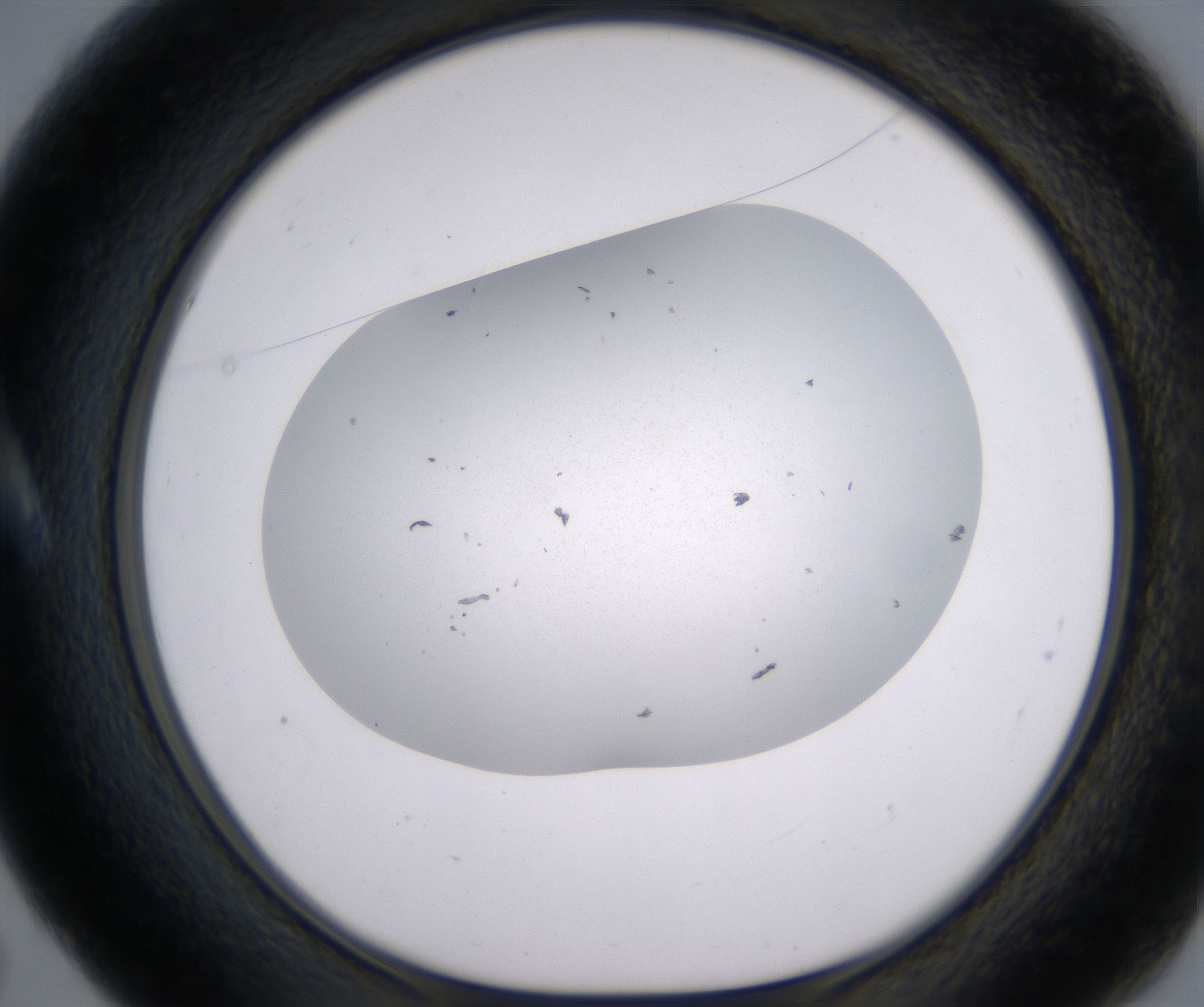 A5_HighResolution_Precipitate_1.jpg