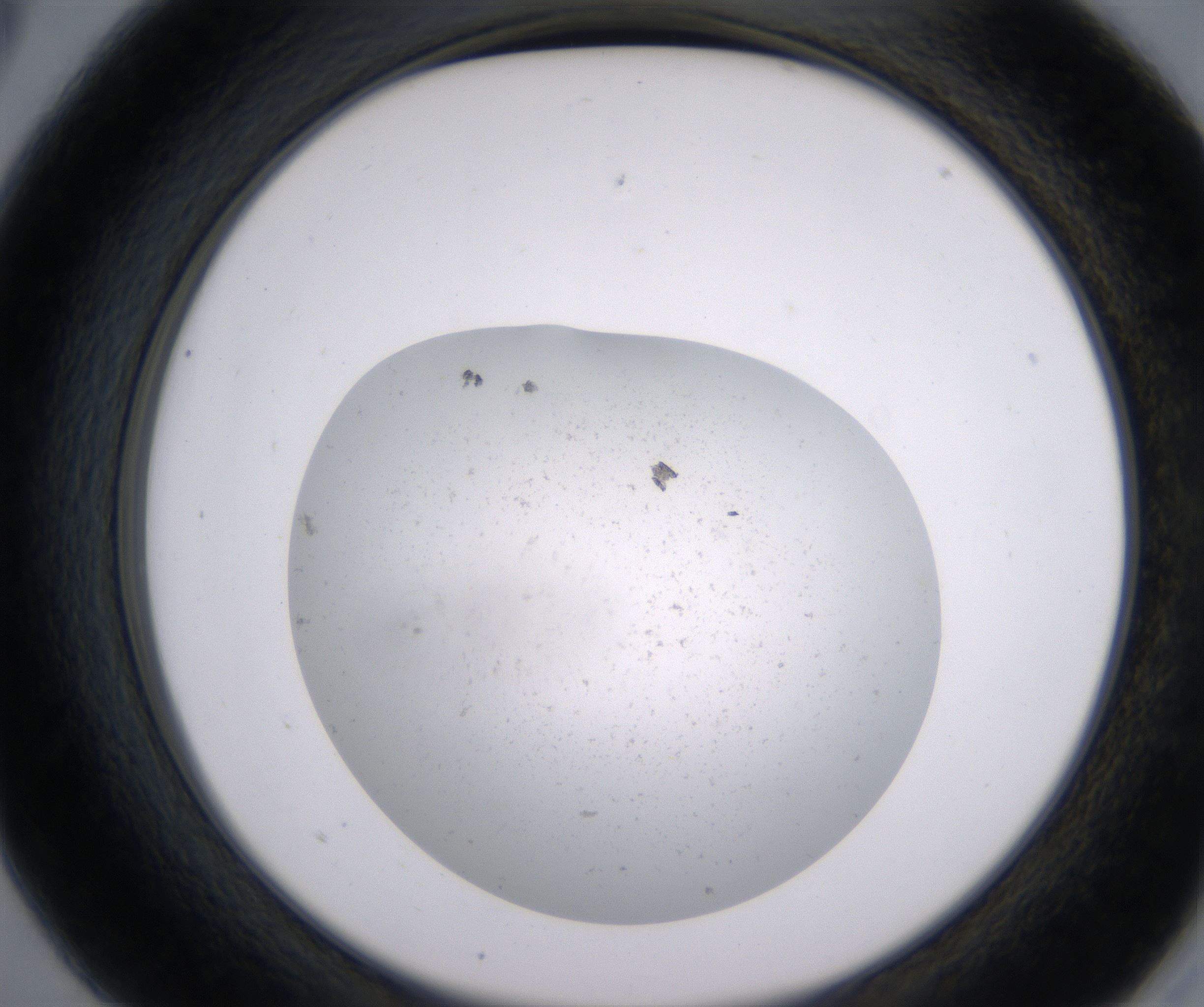 A5_HighResolution_Precipitate_2.jpg