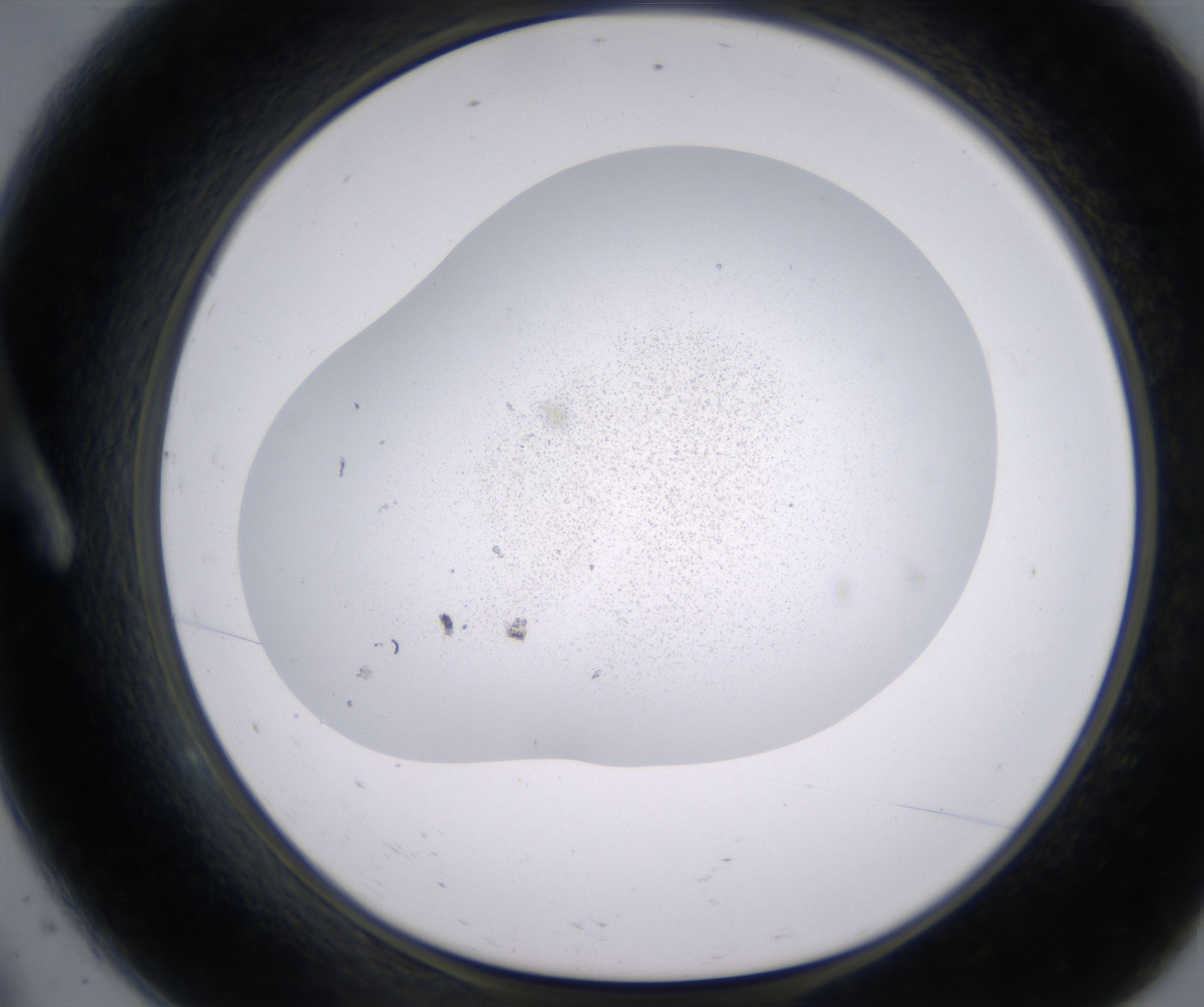 A9_HighResolution_Precipitate_1.jpg