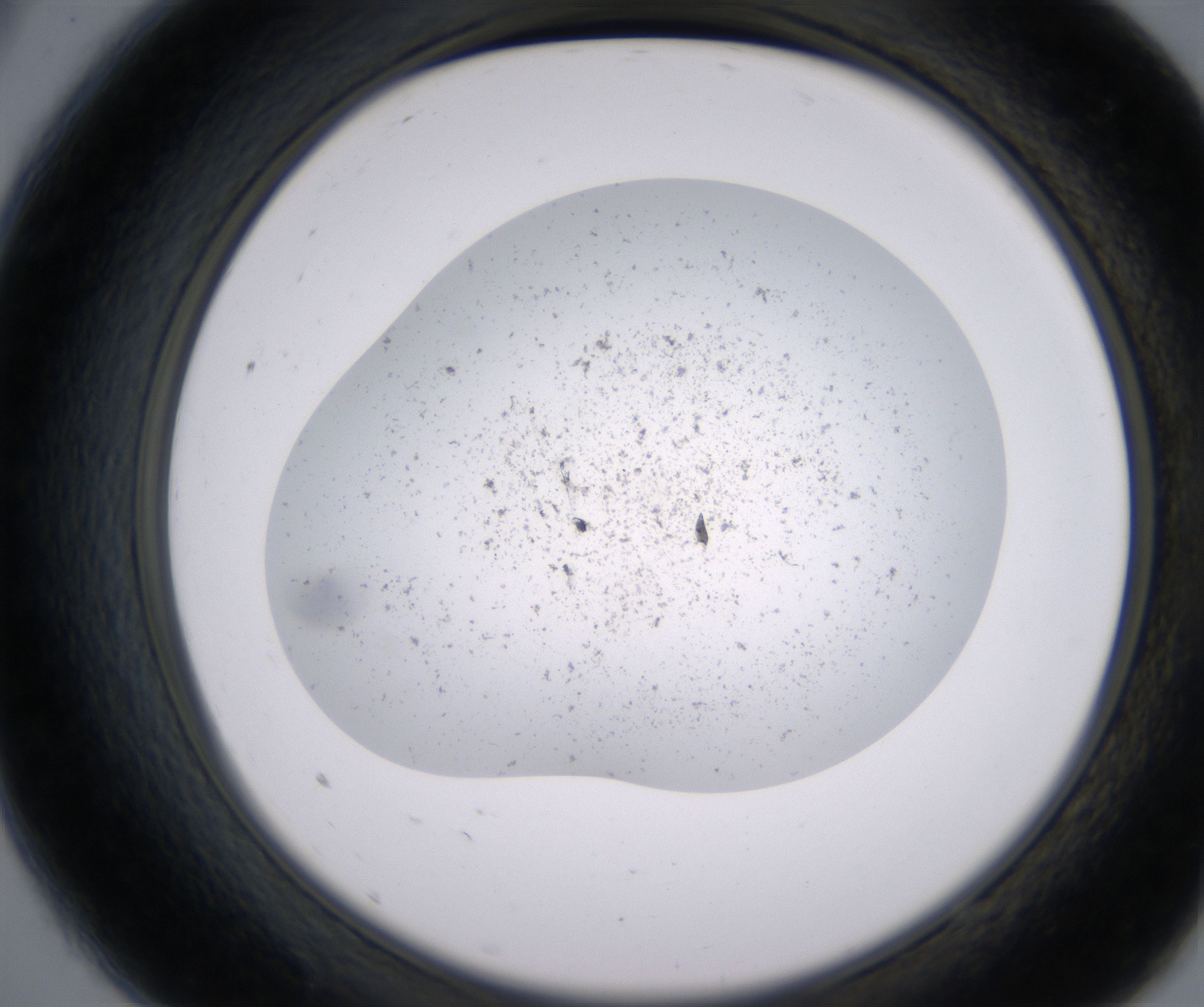 A9_HighResolution_Precipitate_2.jpg