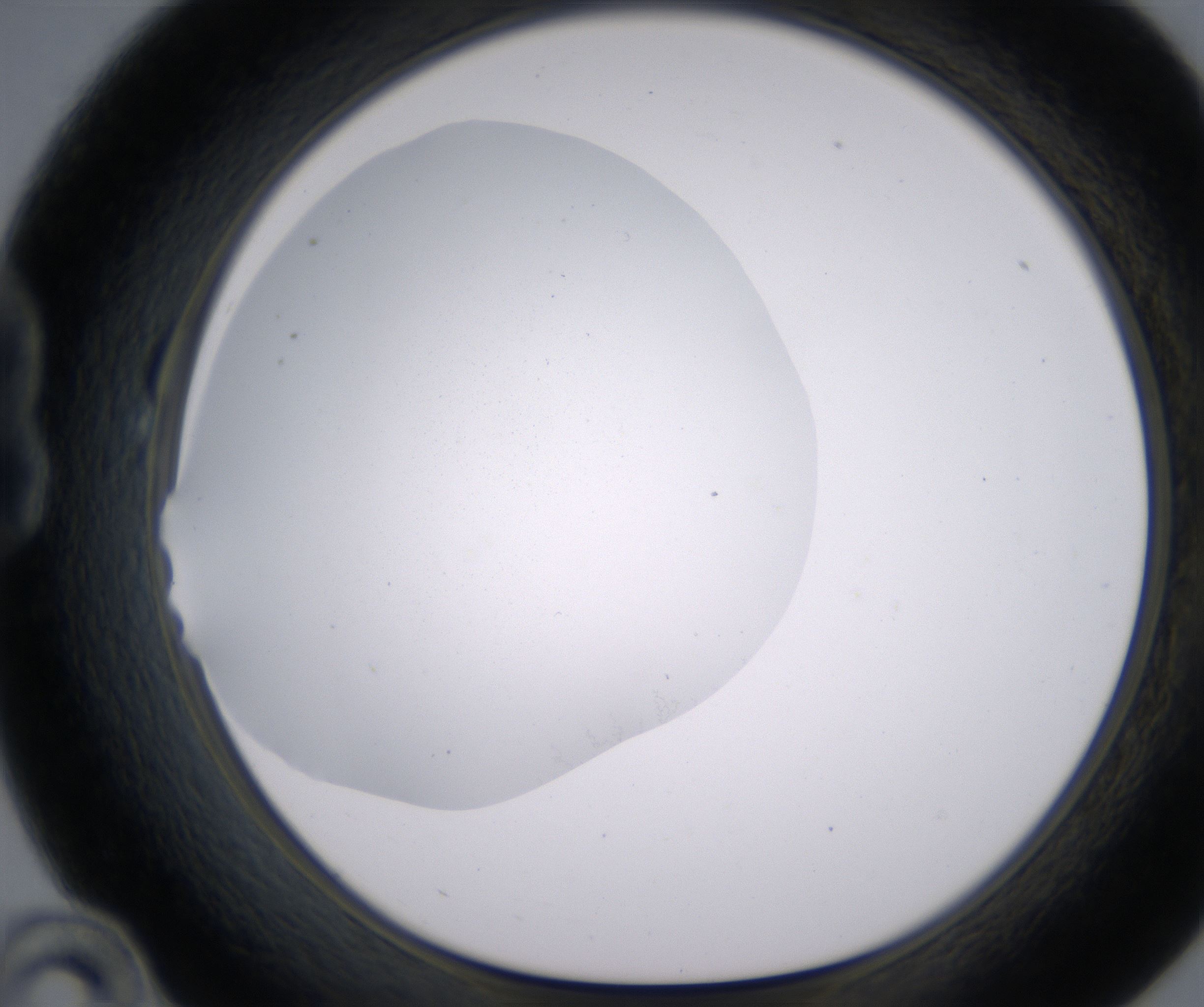 B10_HighResolution_Clear_1.jpg