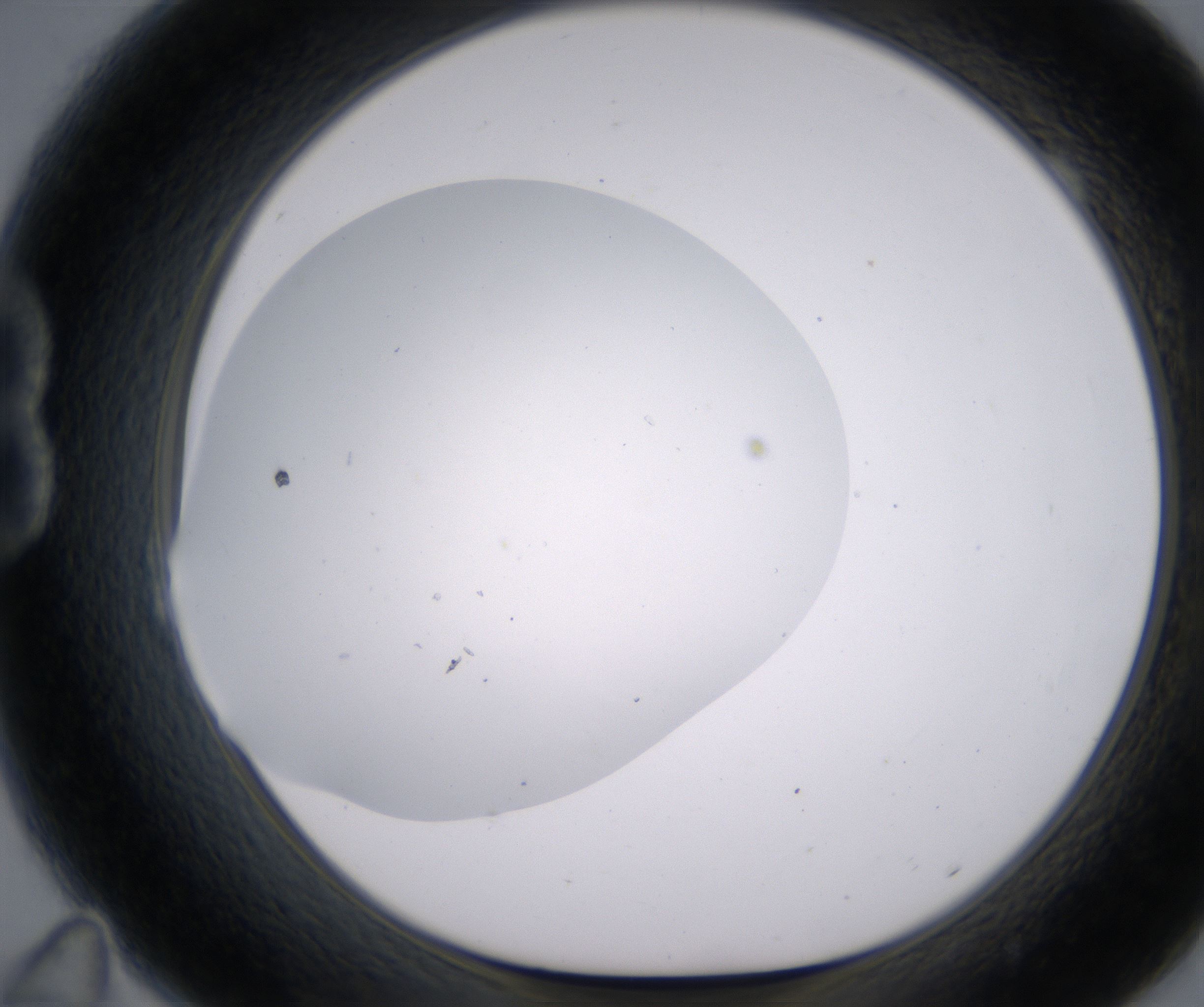 B11_HighResolution_Clear_1.jpg
