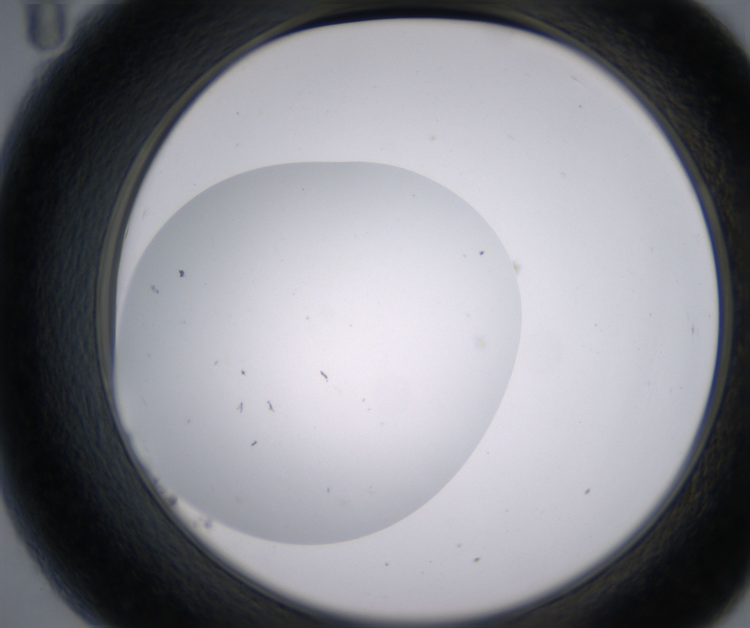 B11_HighResolution_Clear_2.jpg