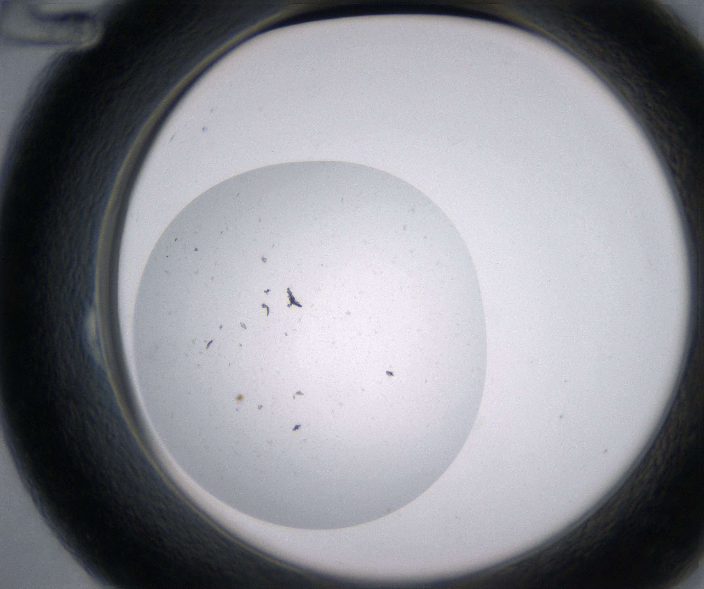 B12_HighResolution_Precipitate_2.jpg