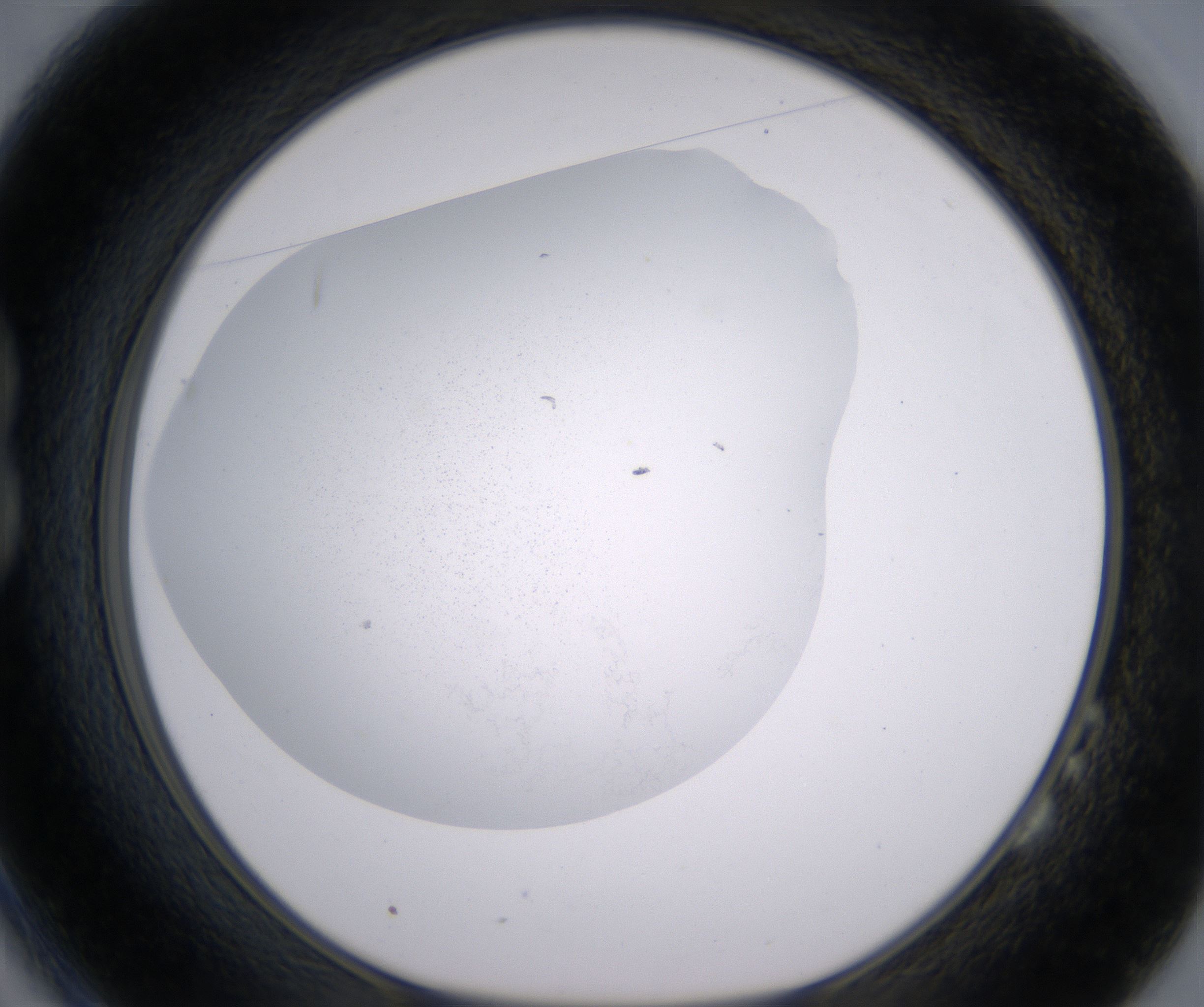 B2_HighResolution_Precipitate_1.jpg