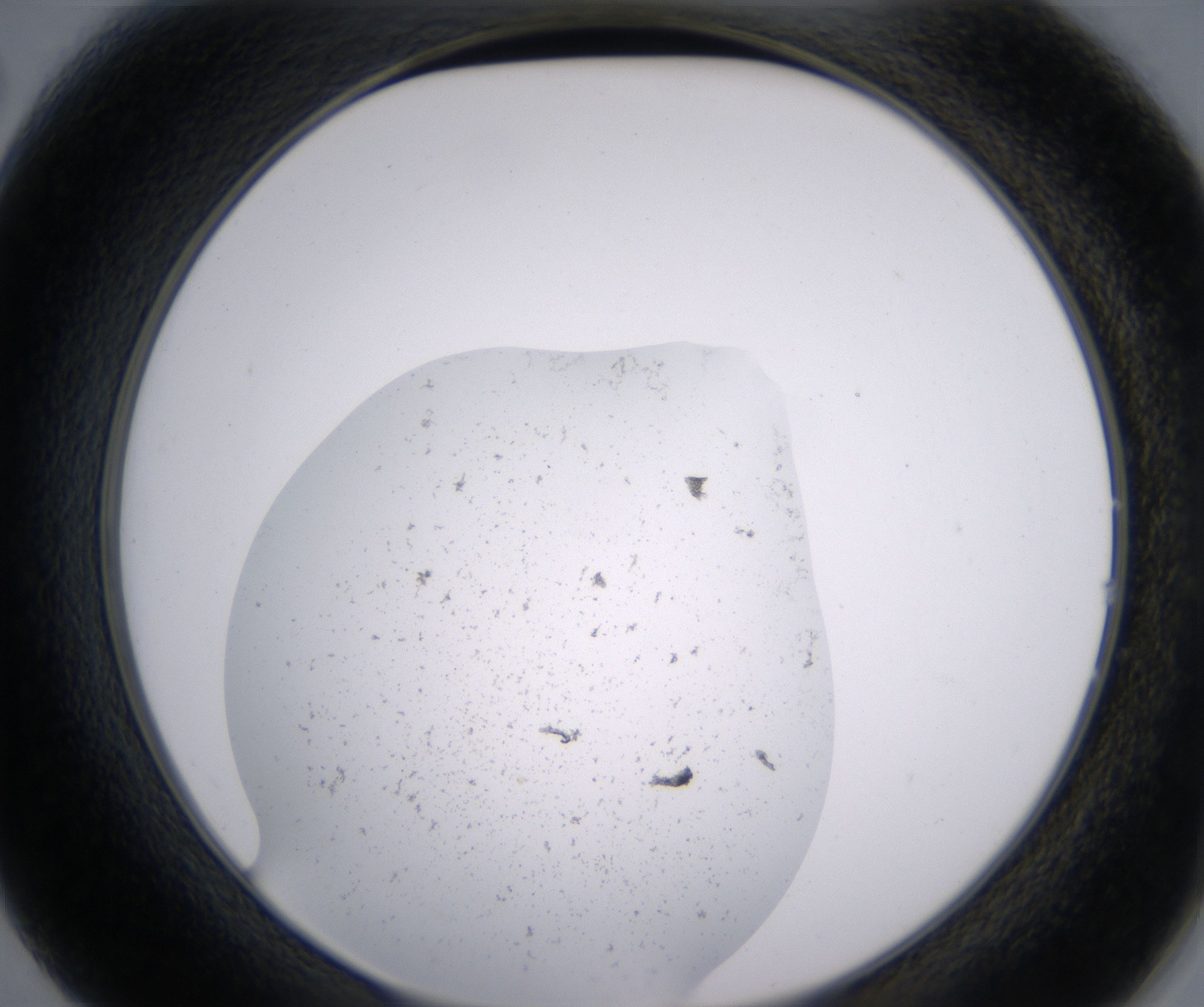B2_HighResolution_Precipitate_2.jpg