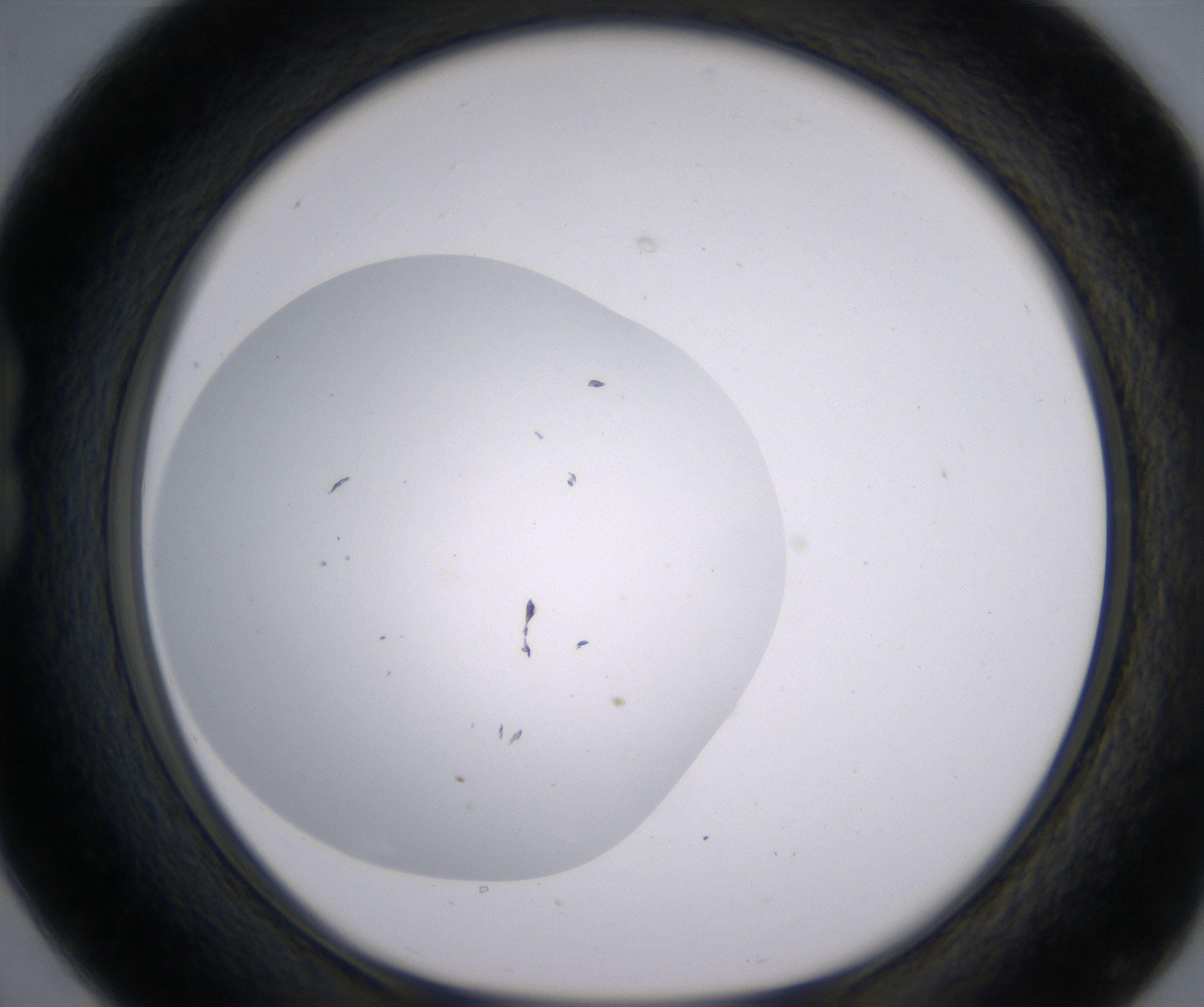 B4_HighResolution_Clear_1.jpg