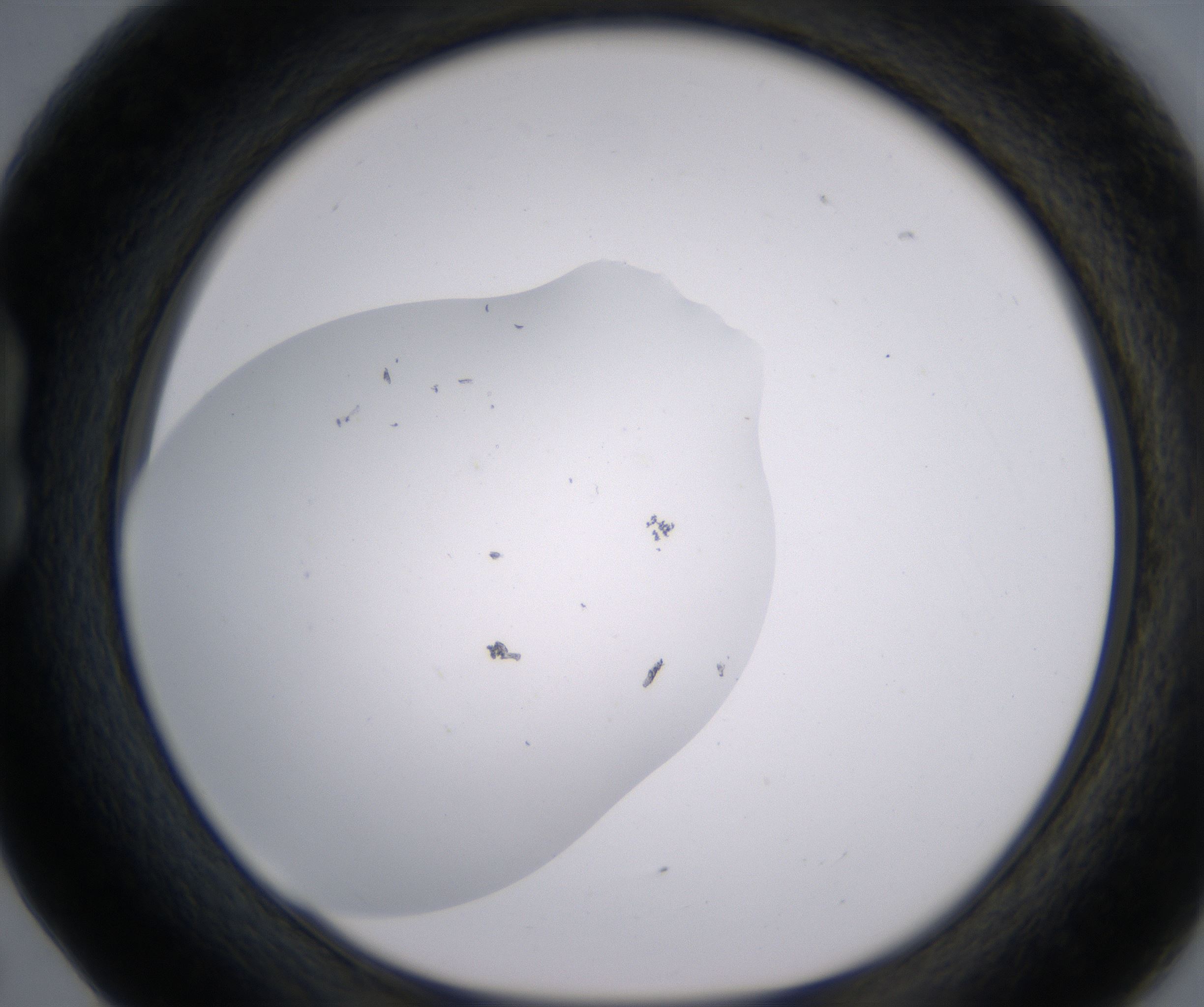B5_HighResolution_Clear_1.jpg