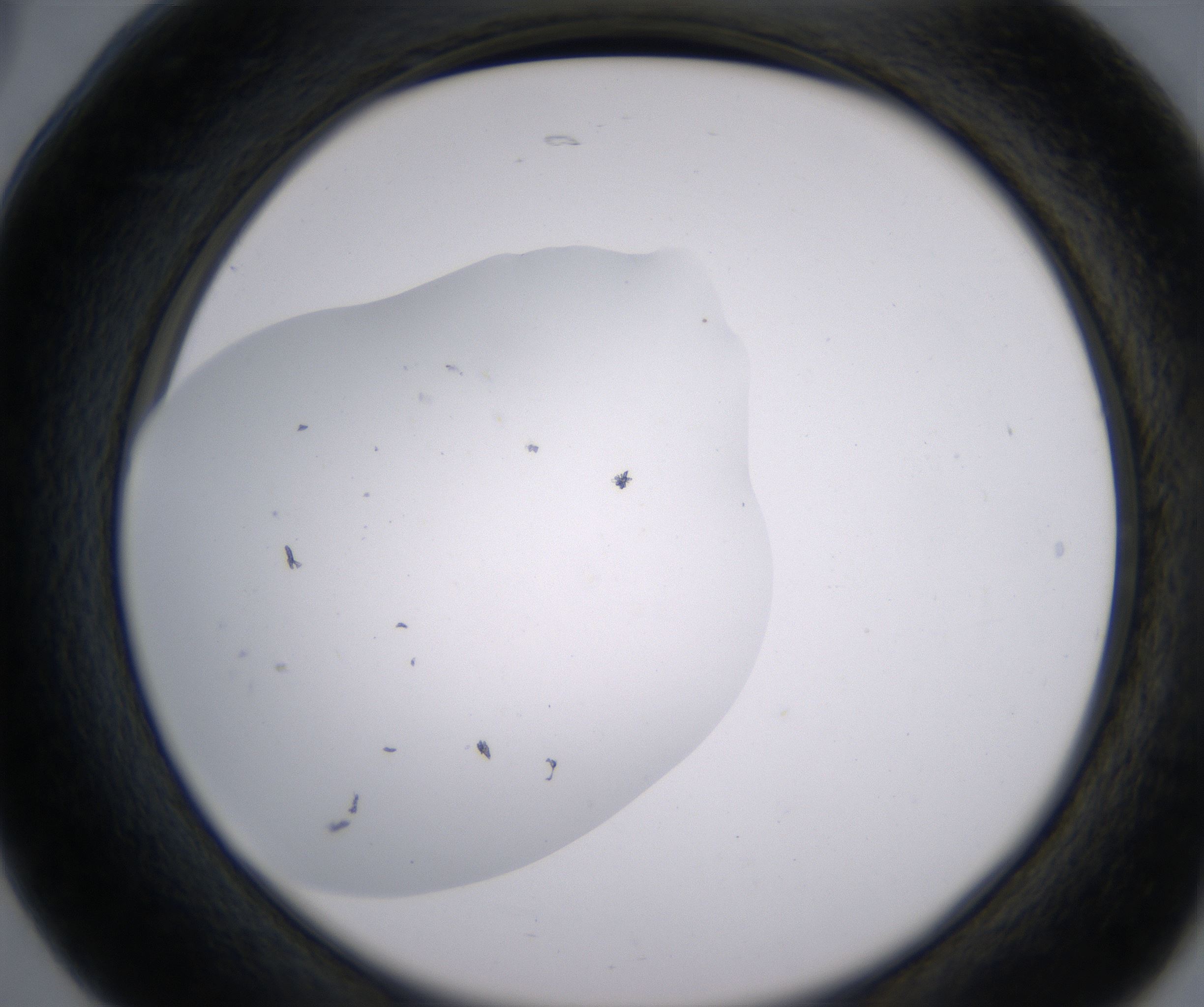 B5_HighResolution_Clear_2.jpg