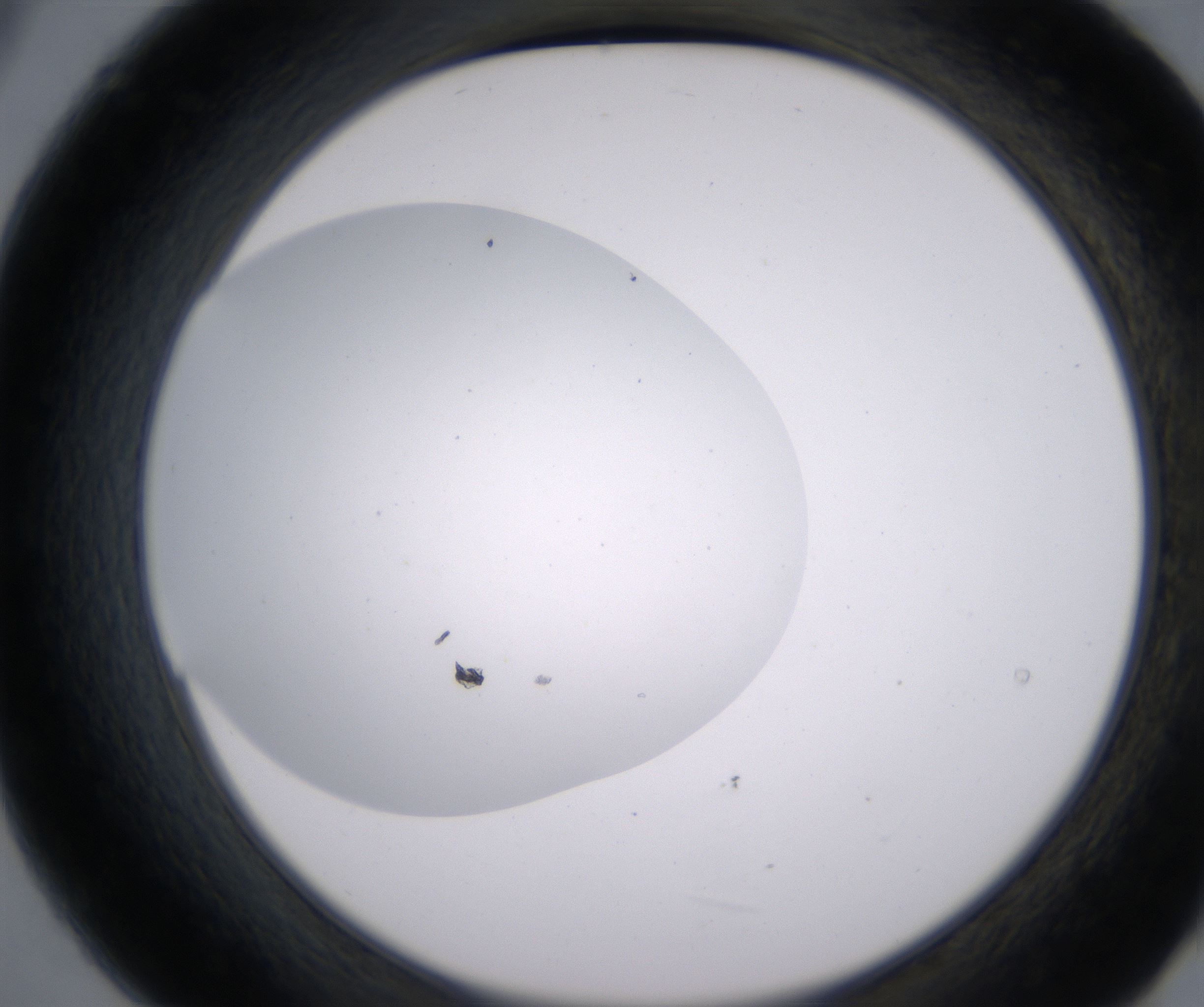 B9_HighResolution_Clear_2.jpg
