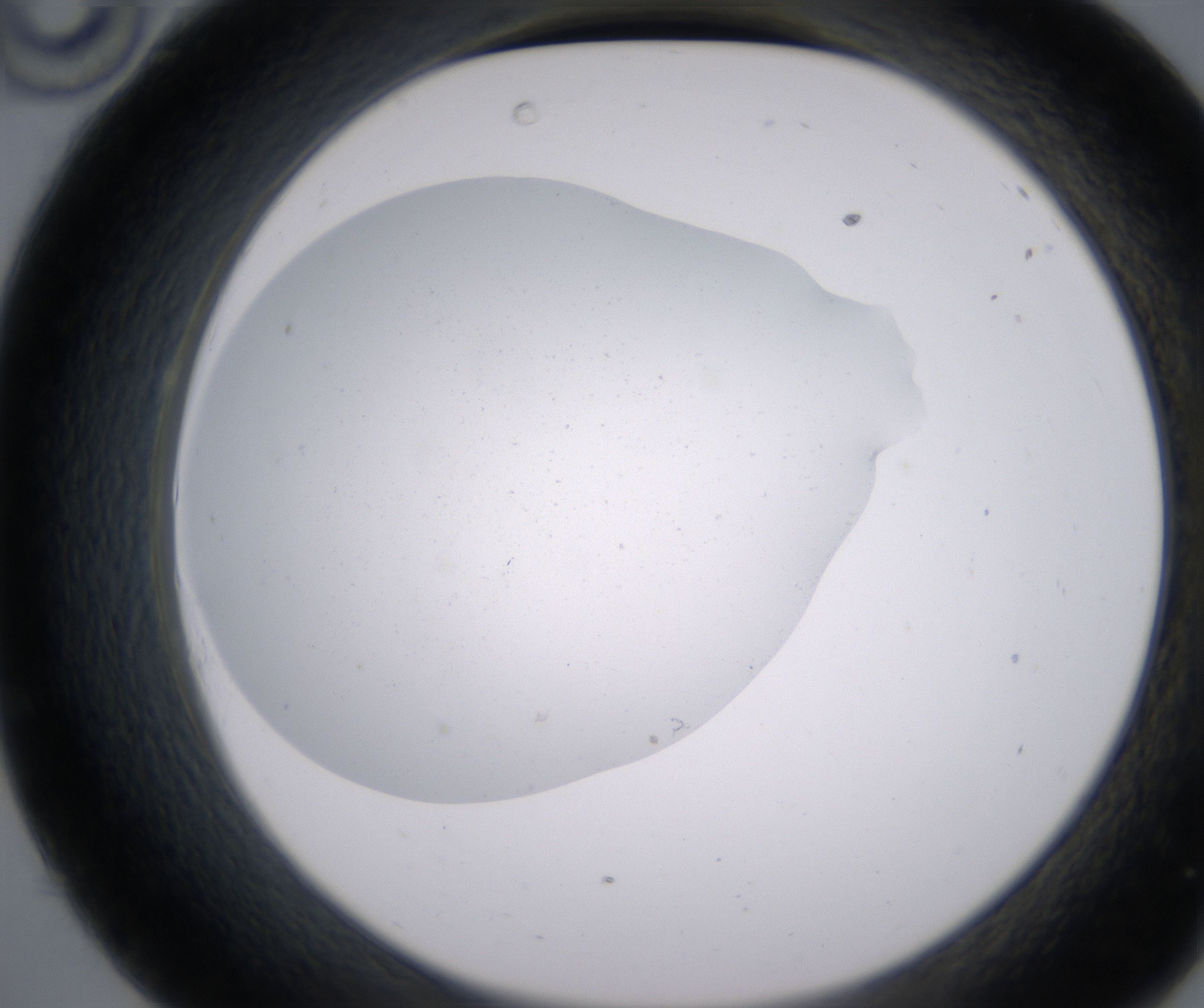 C10_HighResolution_Precipitate_2.jpg