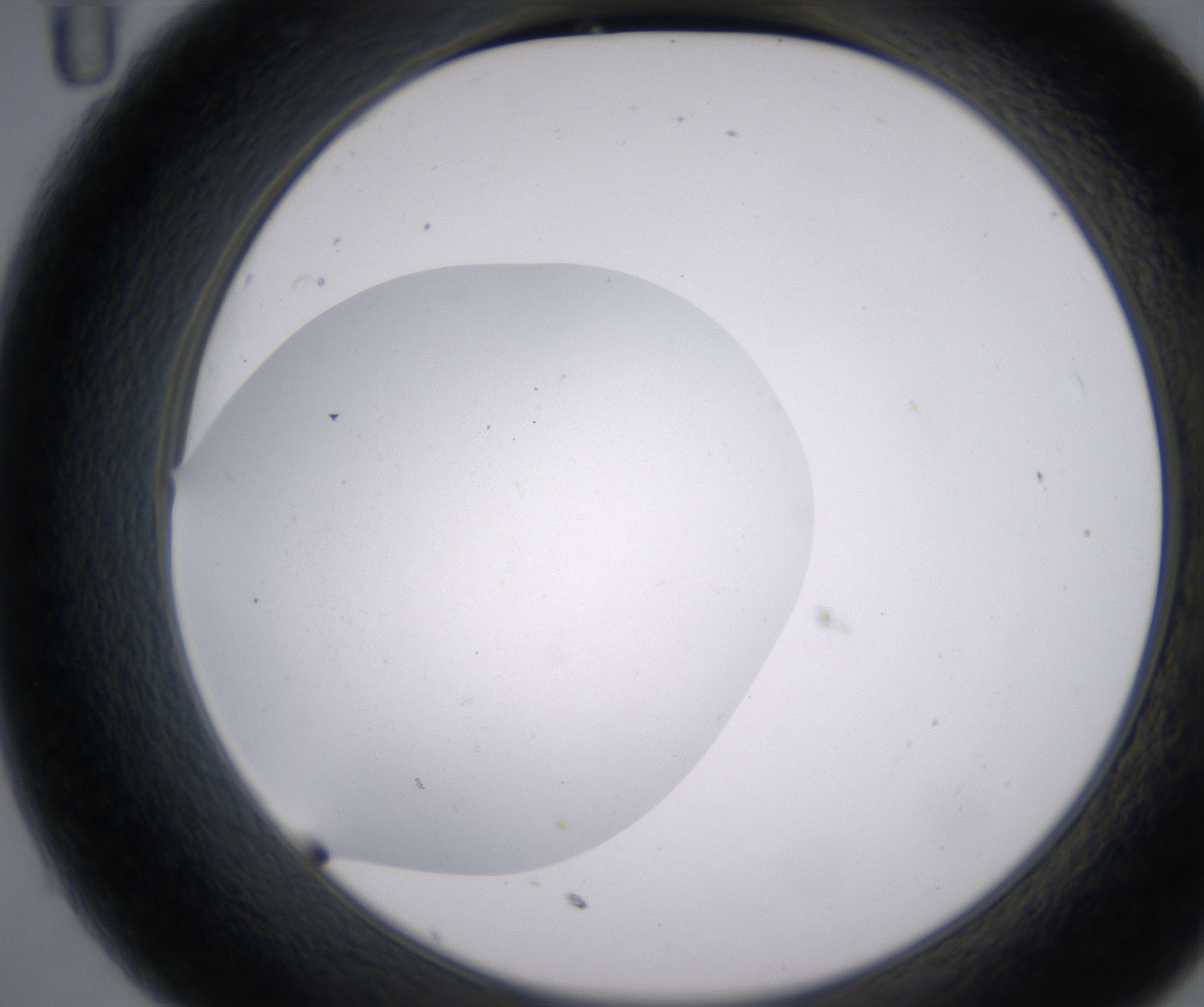C11_HighResolution_Clear_2.jpg