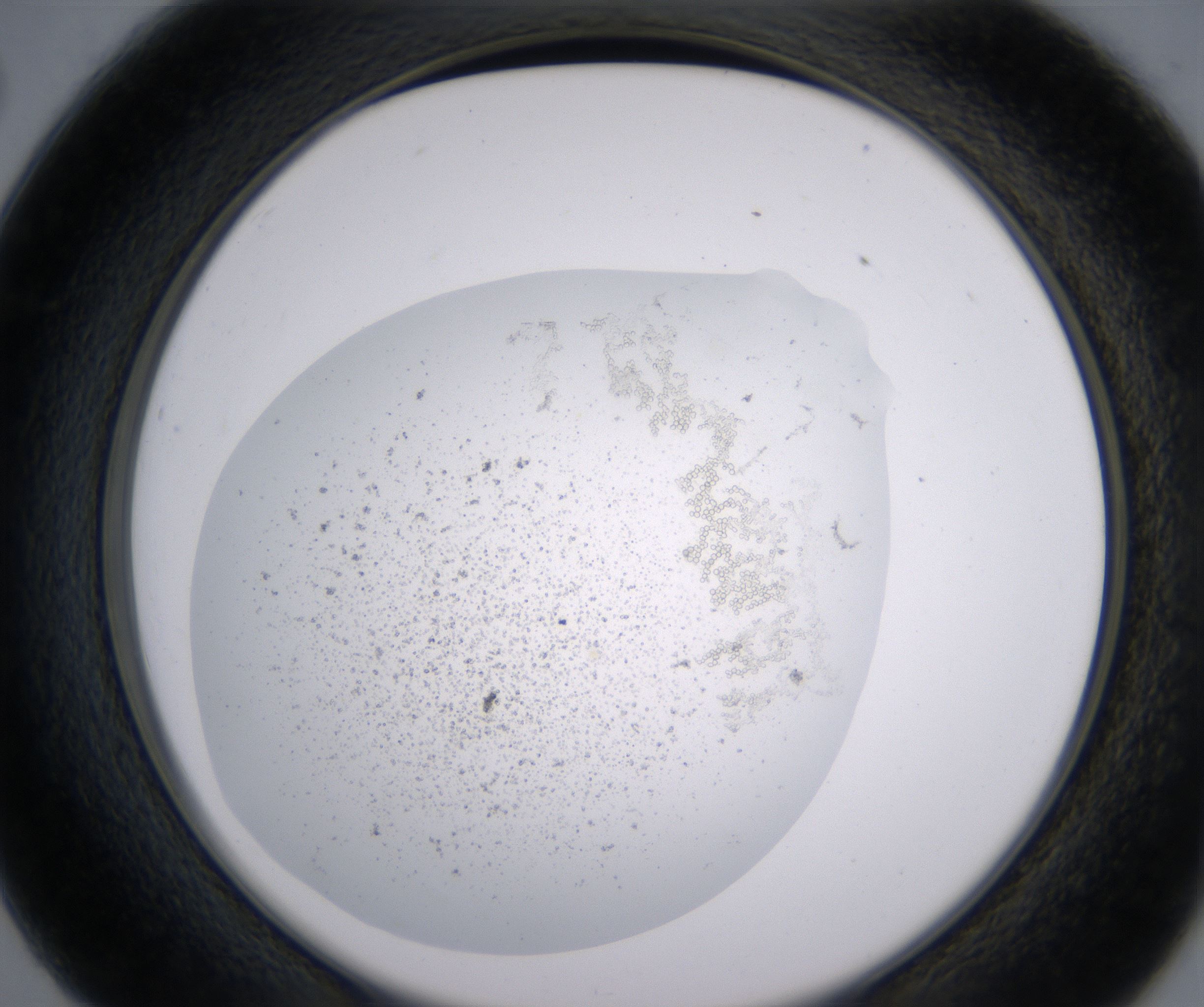 C2_HighResolution_Precipitate_2.jpg