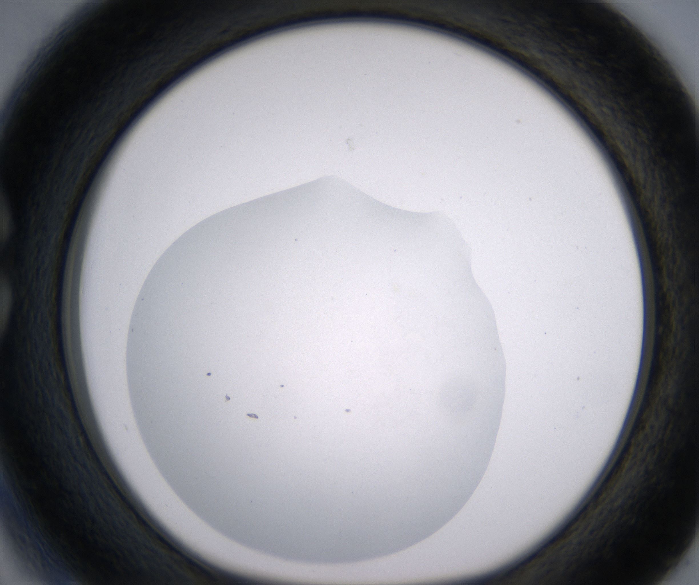 C3_HighResolution_Clear_1.jpg