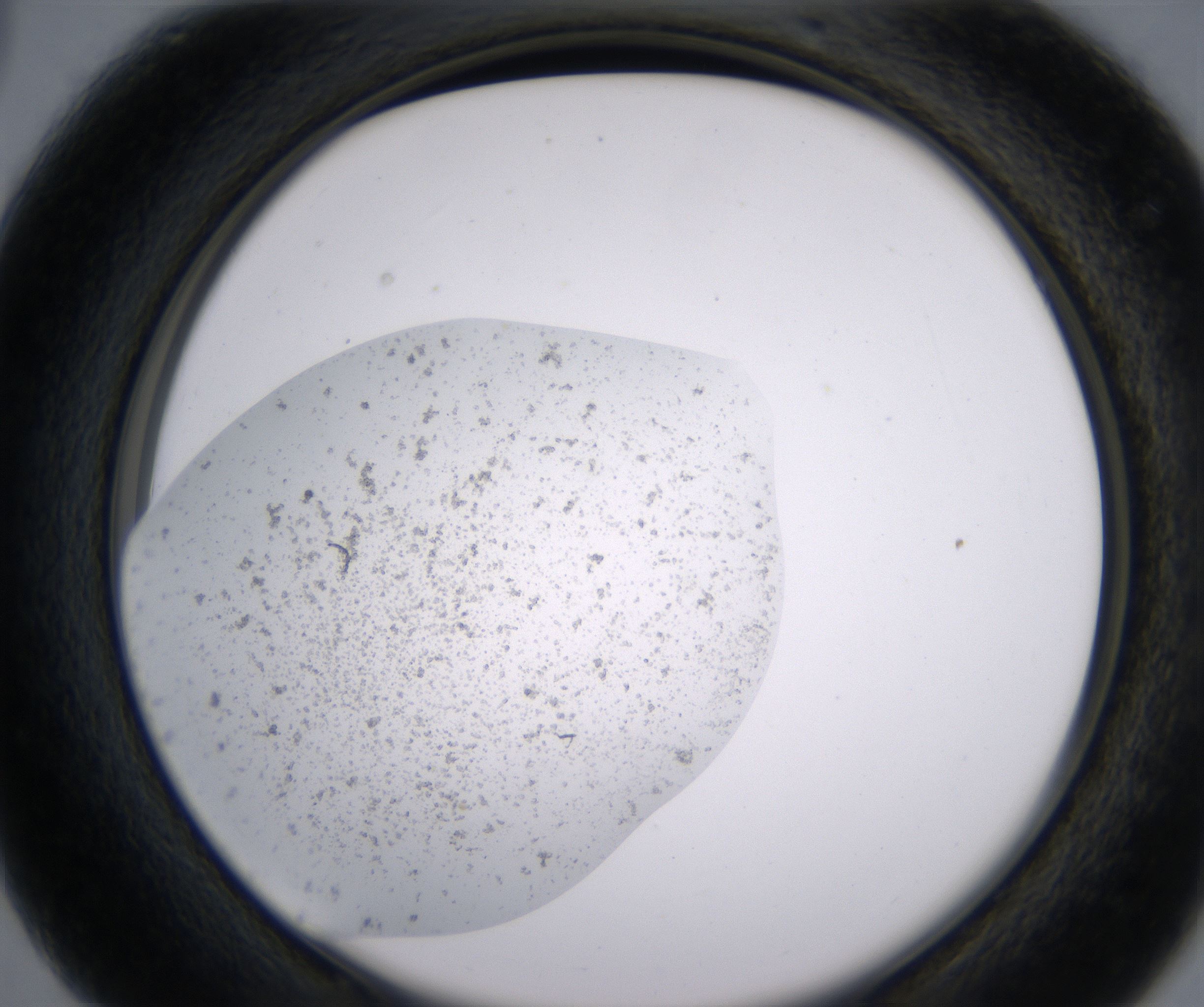 C3_HighResolution_Precipitate_2.jpg
