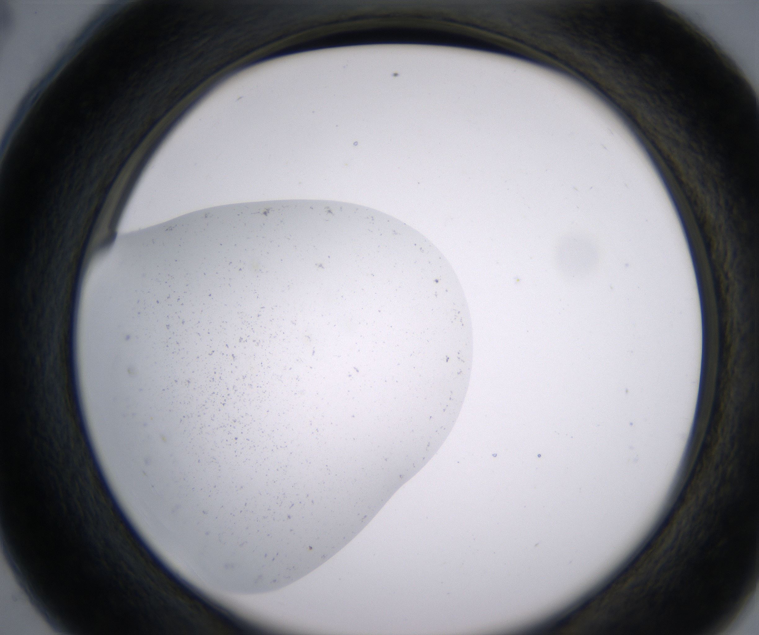C4_HighResolution_Precipitate_2.jpg