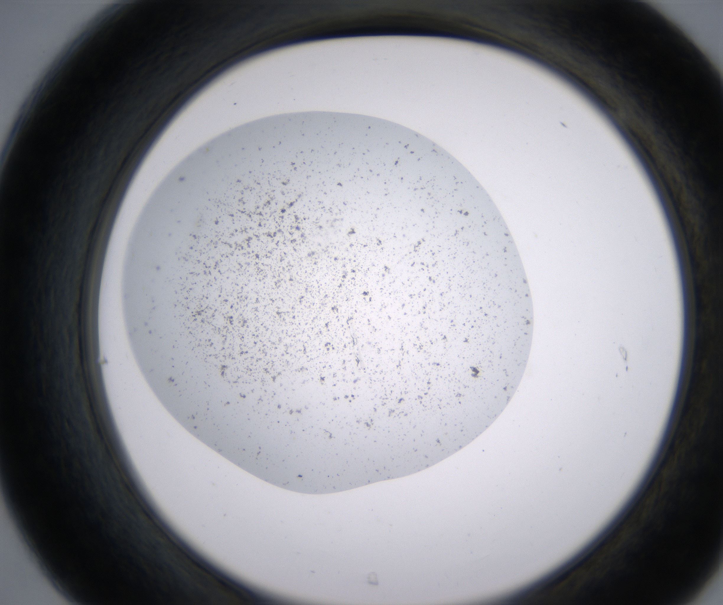C7_HighResolution_Precipitate_2.jpg