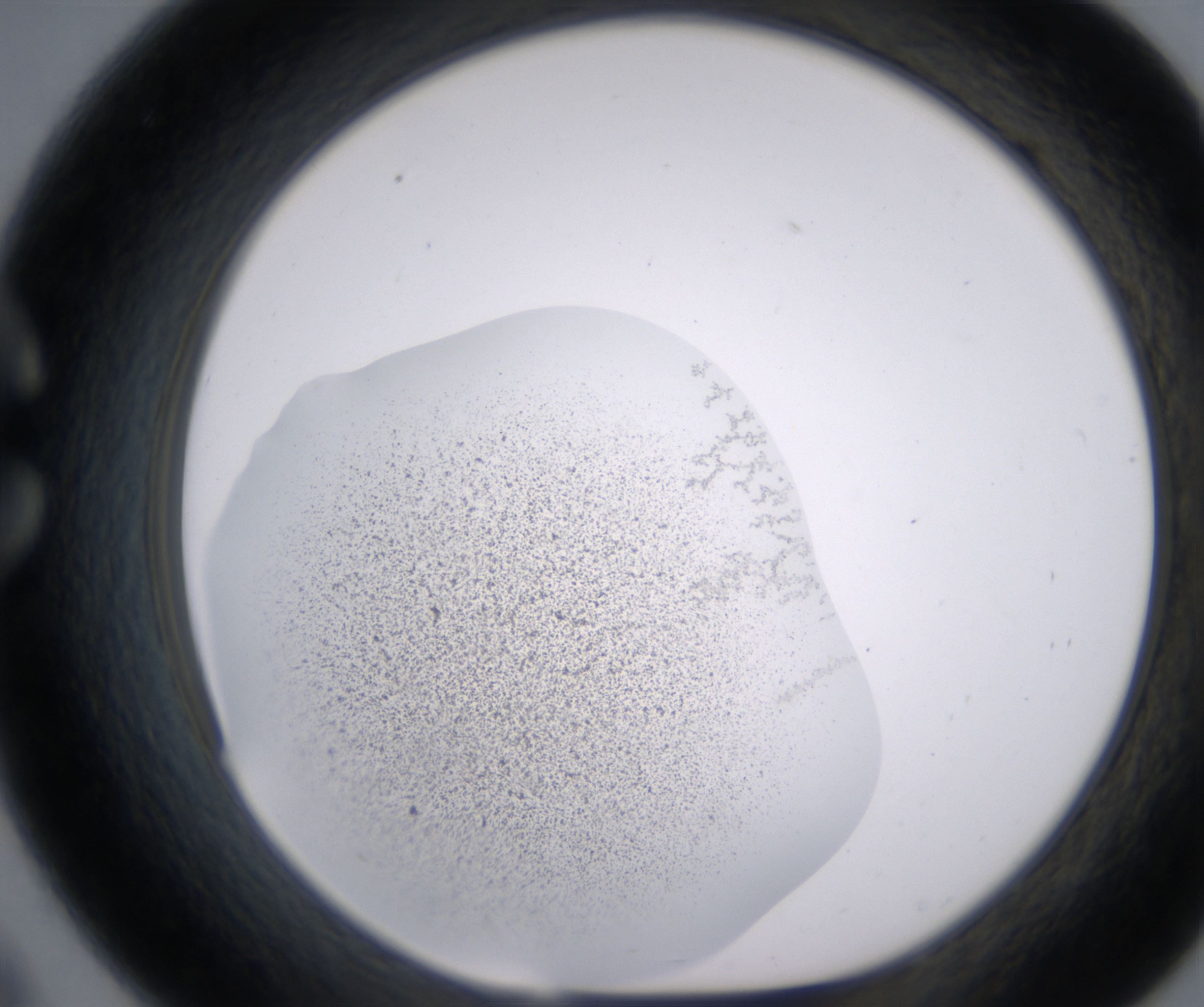 C9_HighResolution_Precipitate_1.jpg